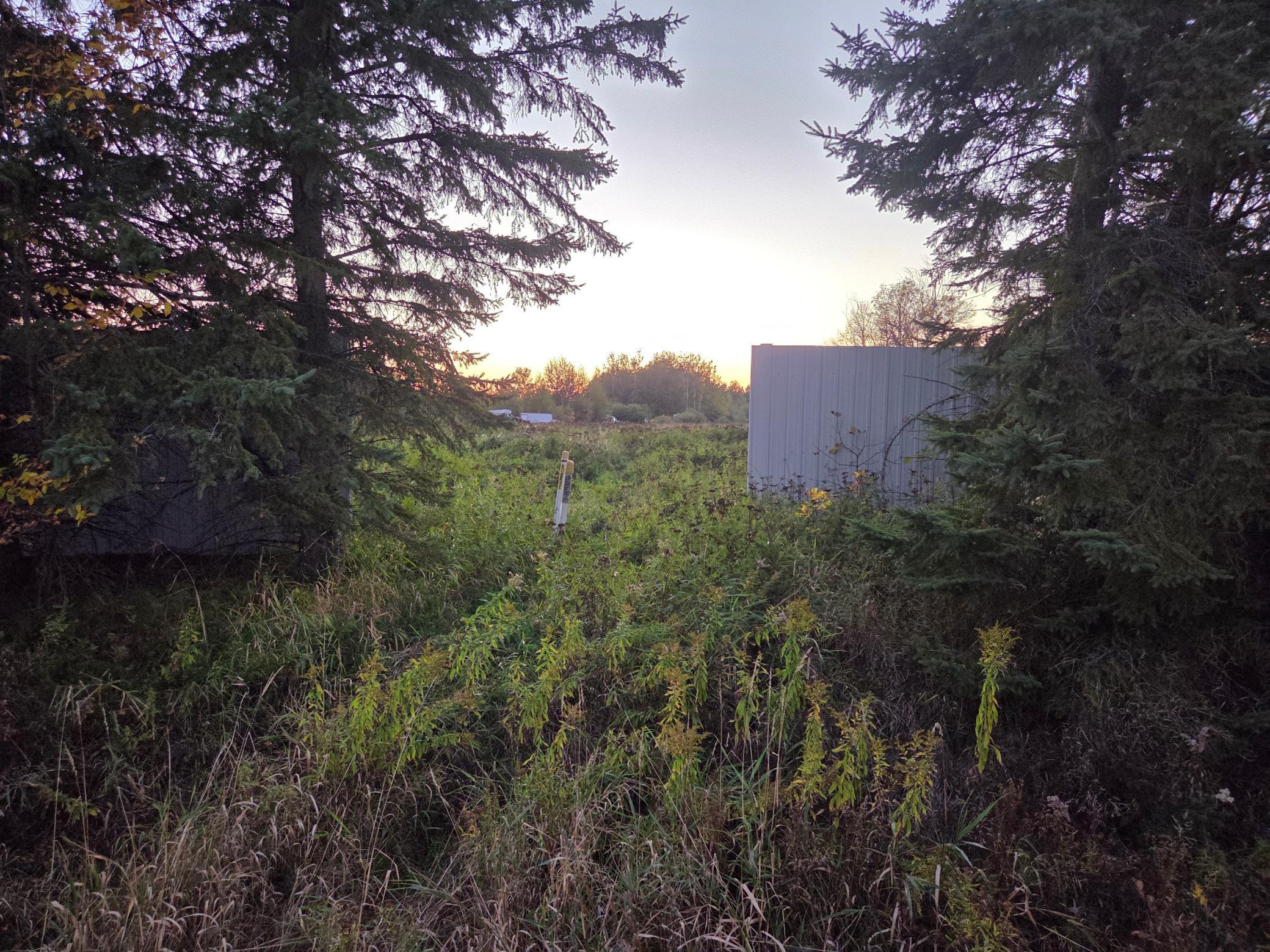 36101 Pincherry Rd Property Photo 2