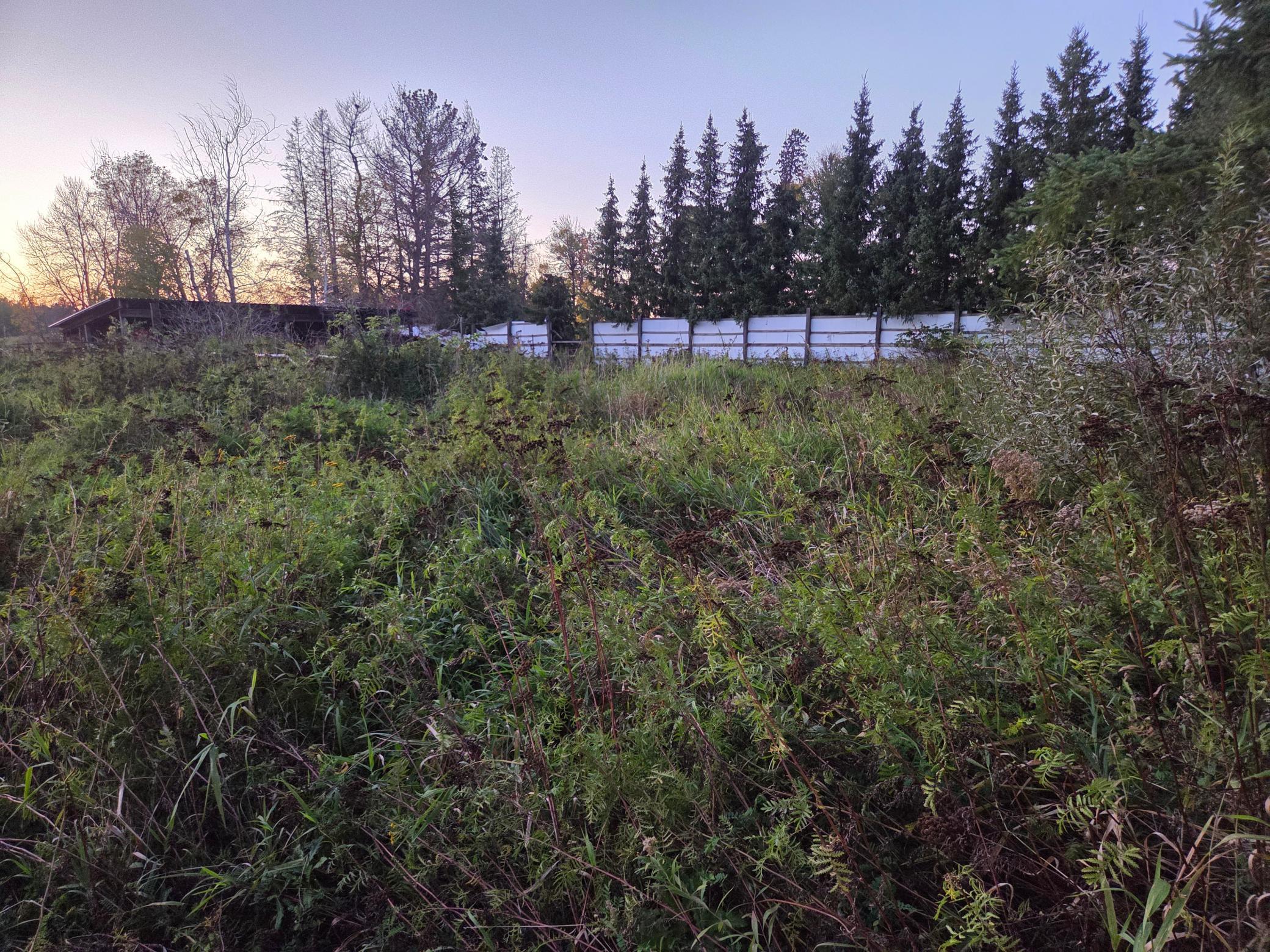36101 Pincherry Rd Property Photo 3