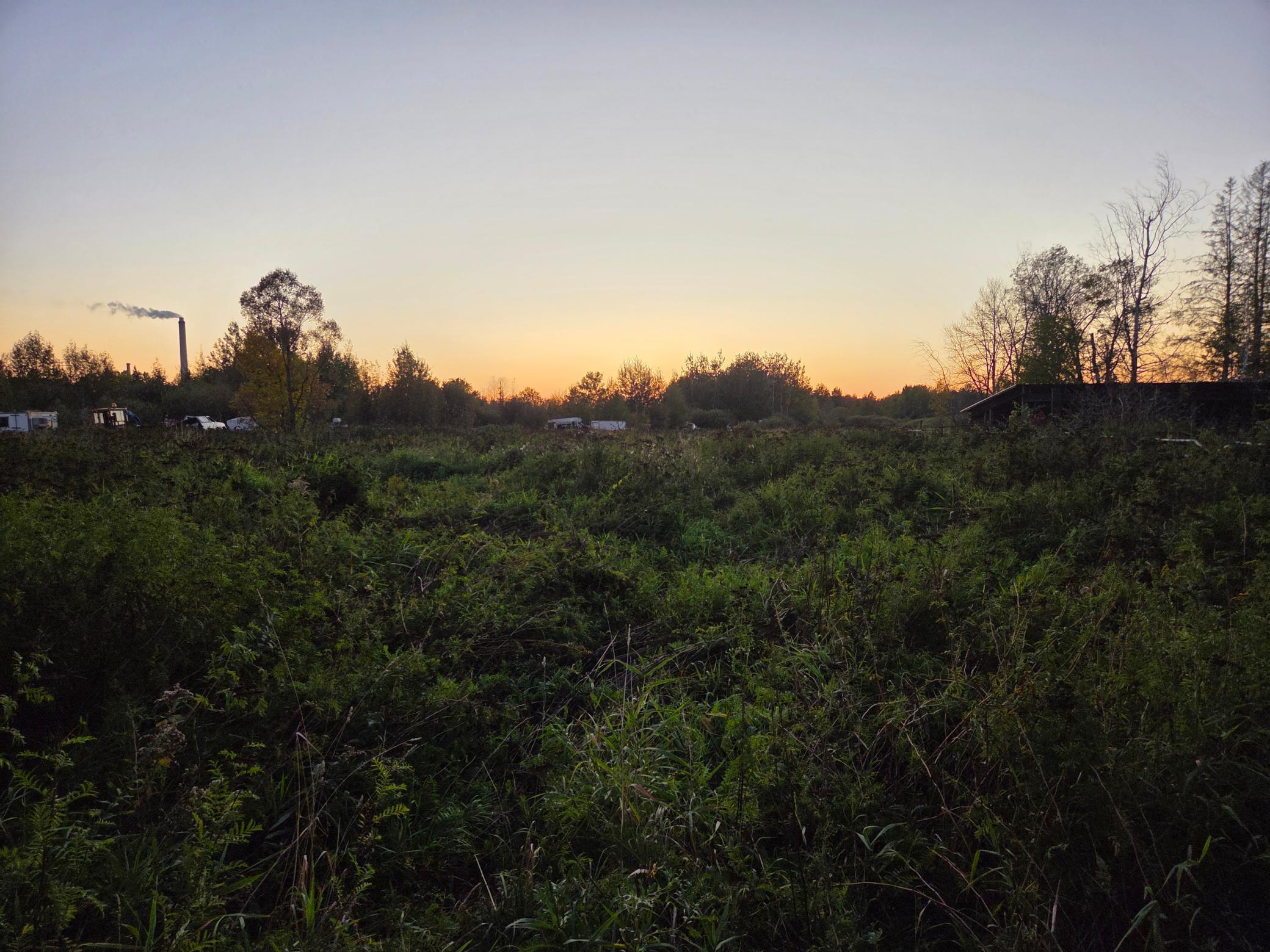 36101 Pincherry Rd Property Photo 4