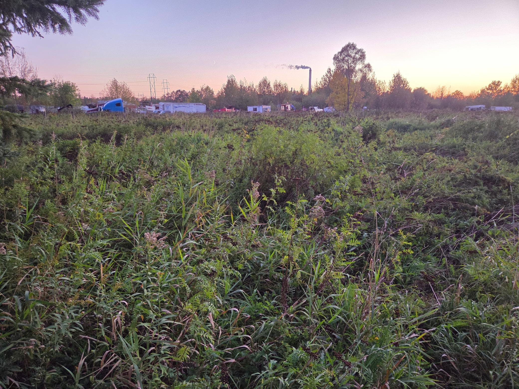 36101 Pincherry Rd Property Photo 5