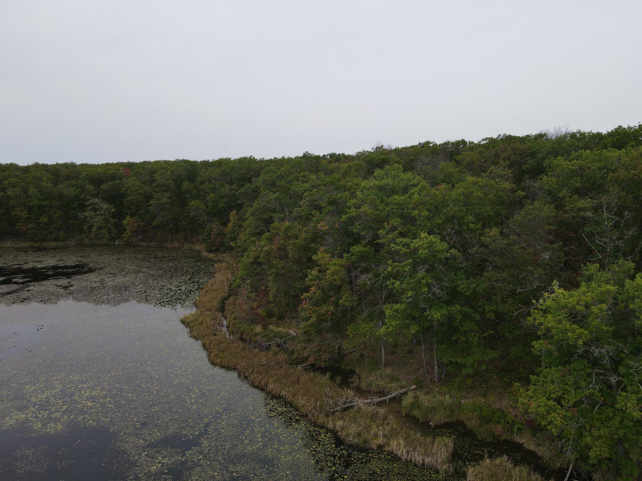 Tbd Red Oak Drive Property Photo 6