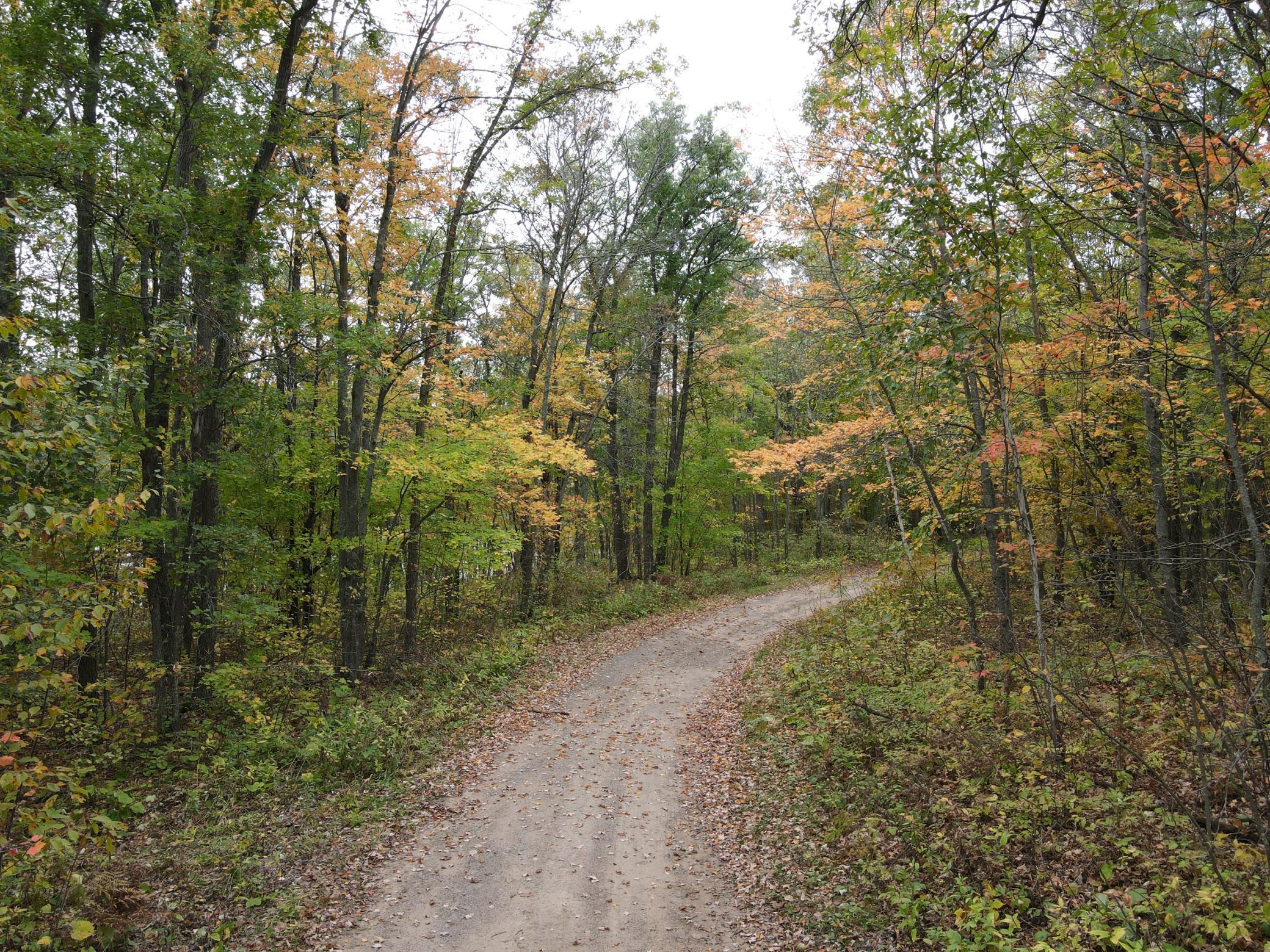 Tbd Red Oak Drive Property Photo 8