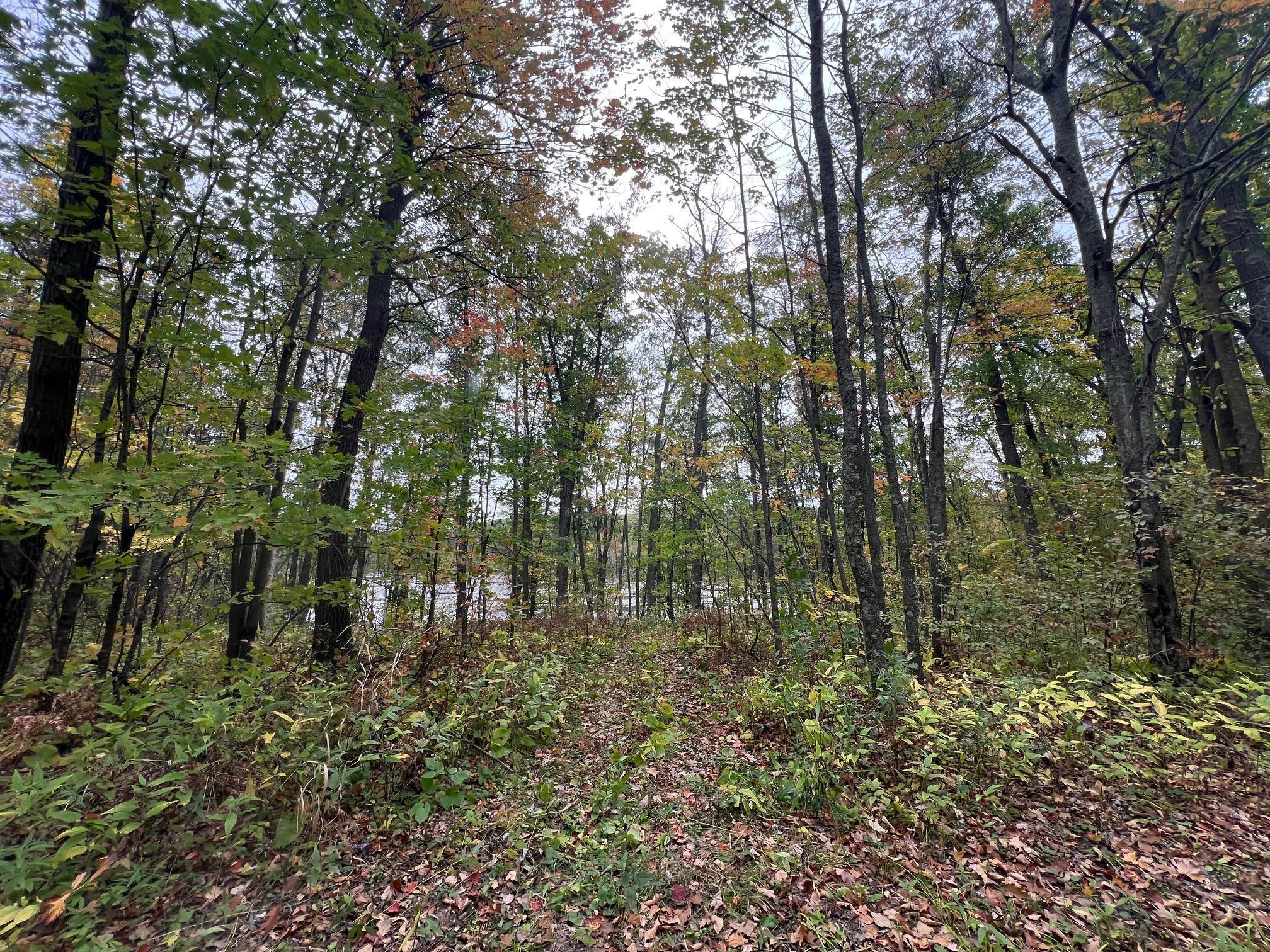 Tbd Red Oak Drive Property Photo 15
