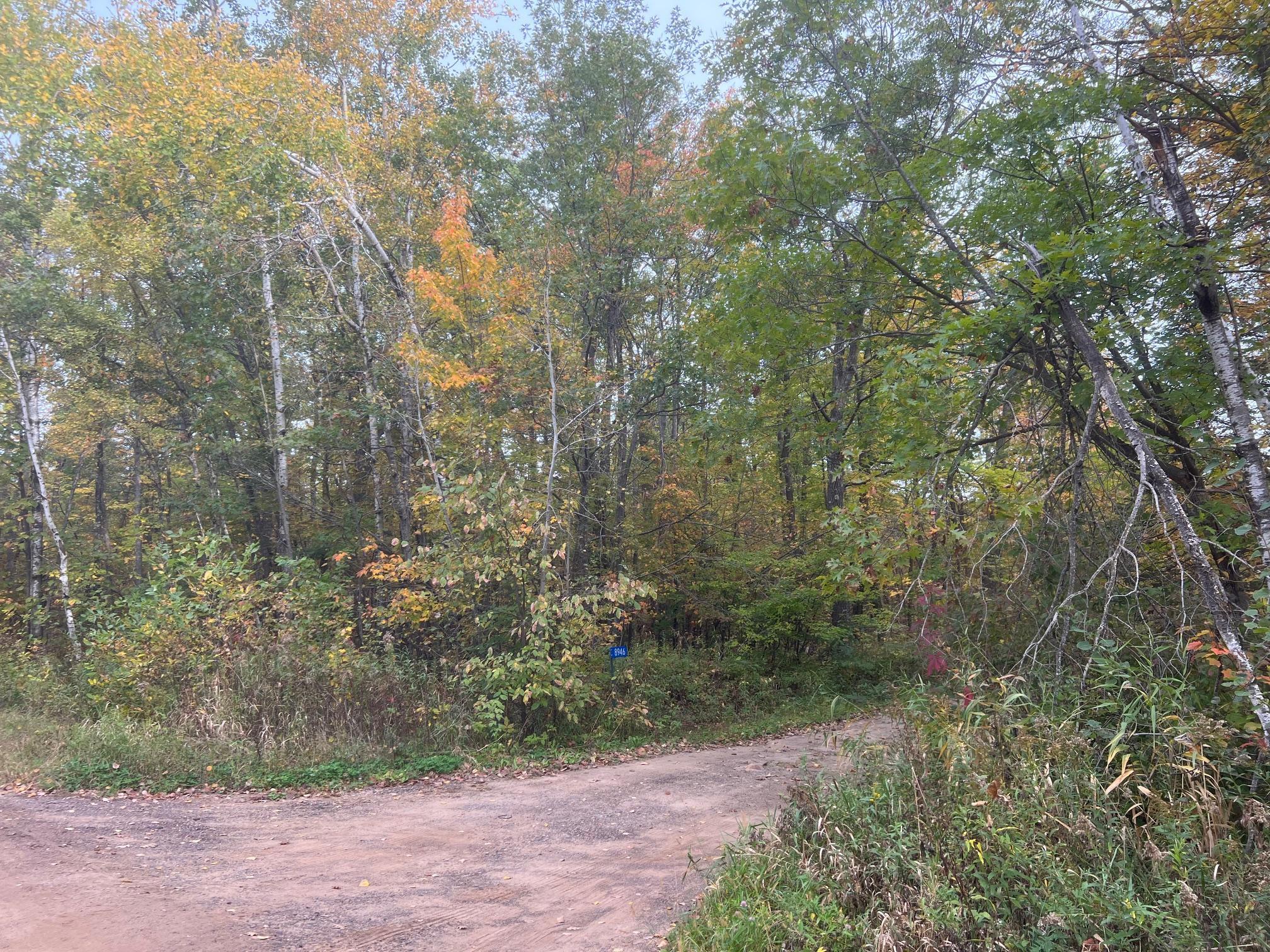 Tbd Red Oak Drive Property Photo 20
