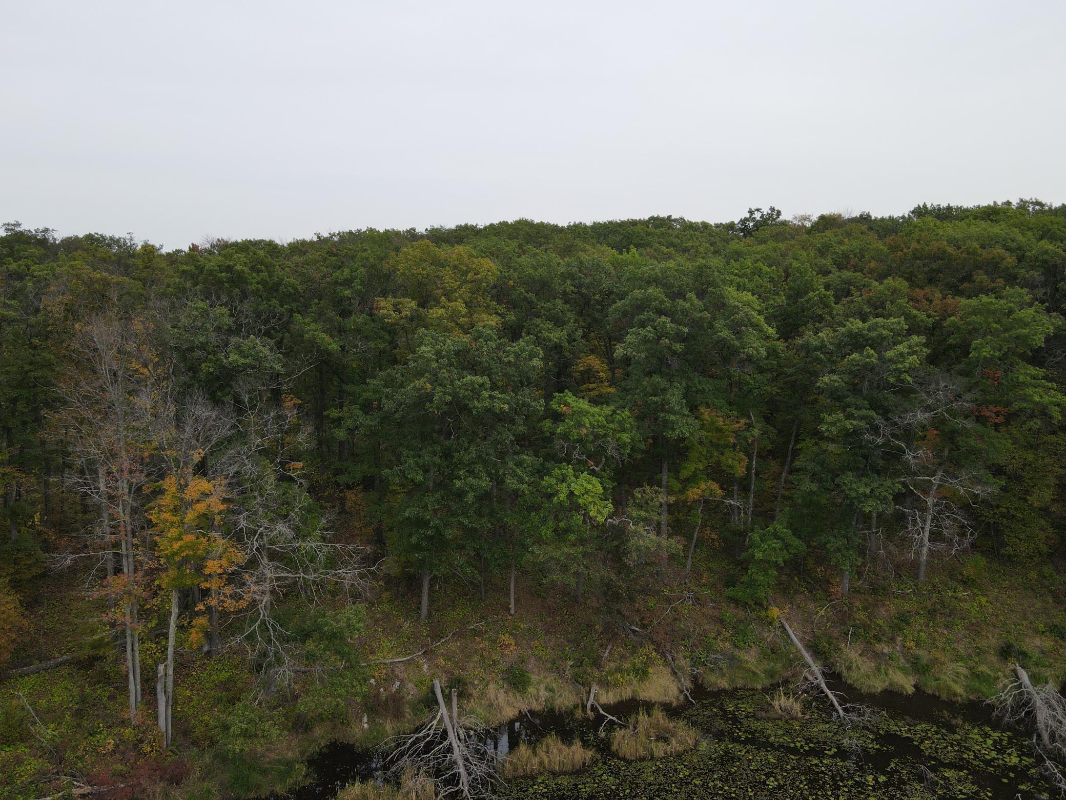 Tbd Red Oak Drive Property Photo 25