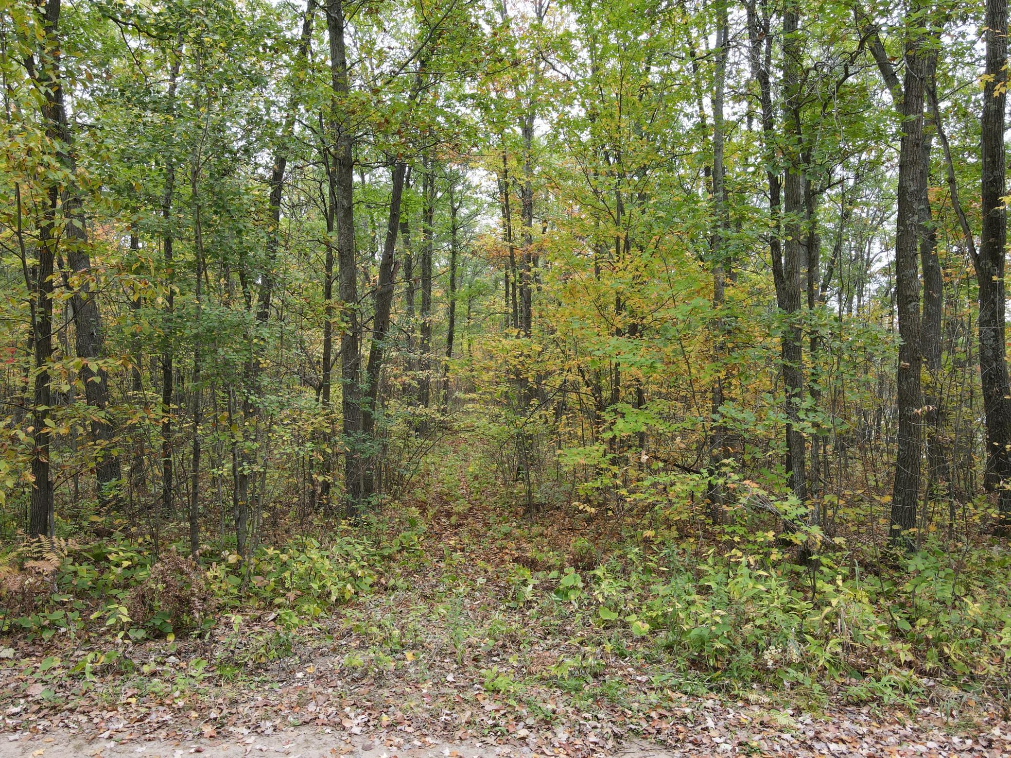 Tbd Red Oak Drive Property Photo 27