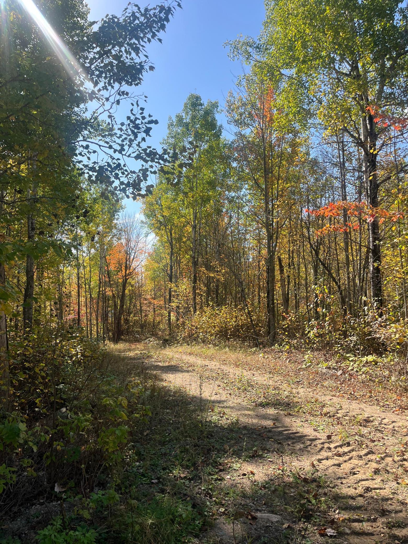 Lot 7 Wilderness Way Property Photo 2