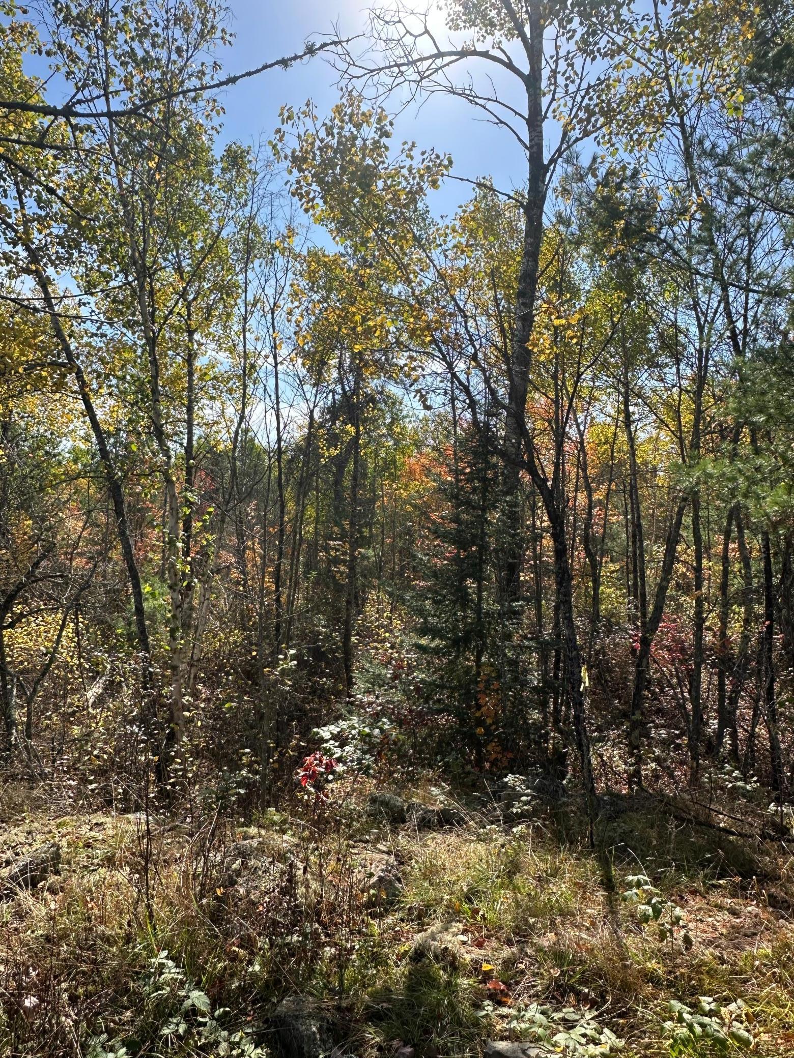 Lot 7 Wilderness Way Property Photo 4