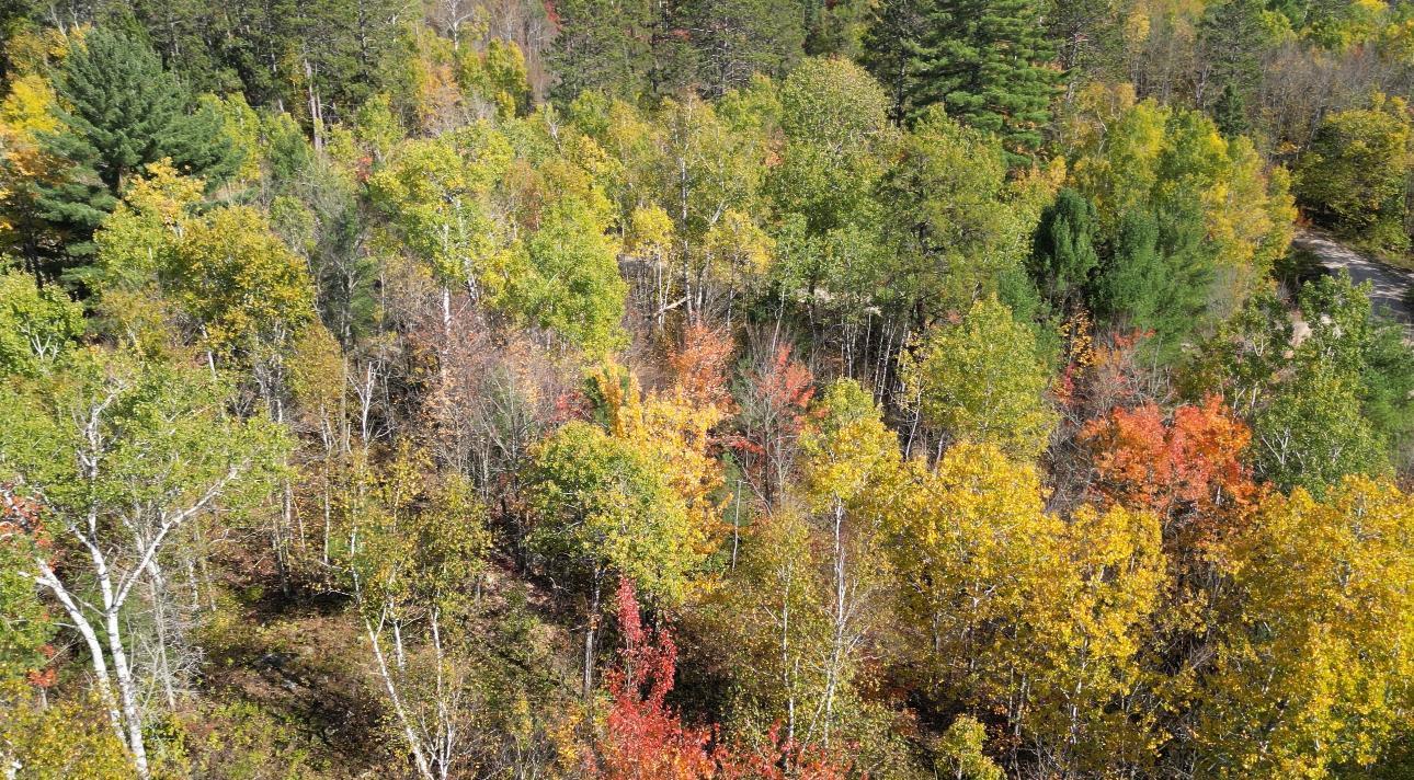 Lot 7 Wilderness Way Property Photo 7