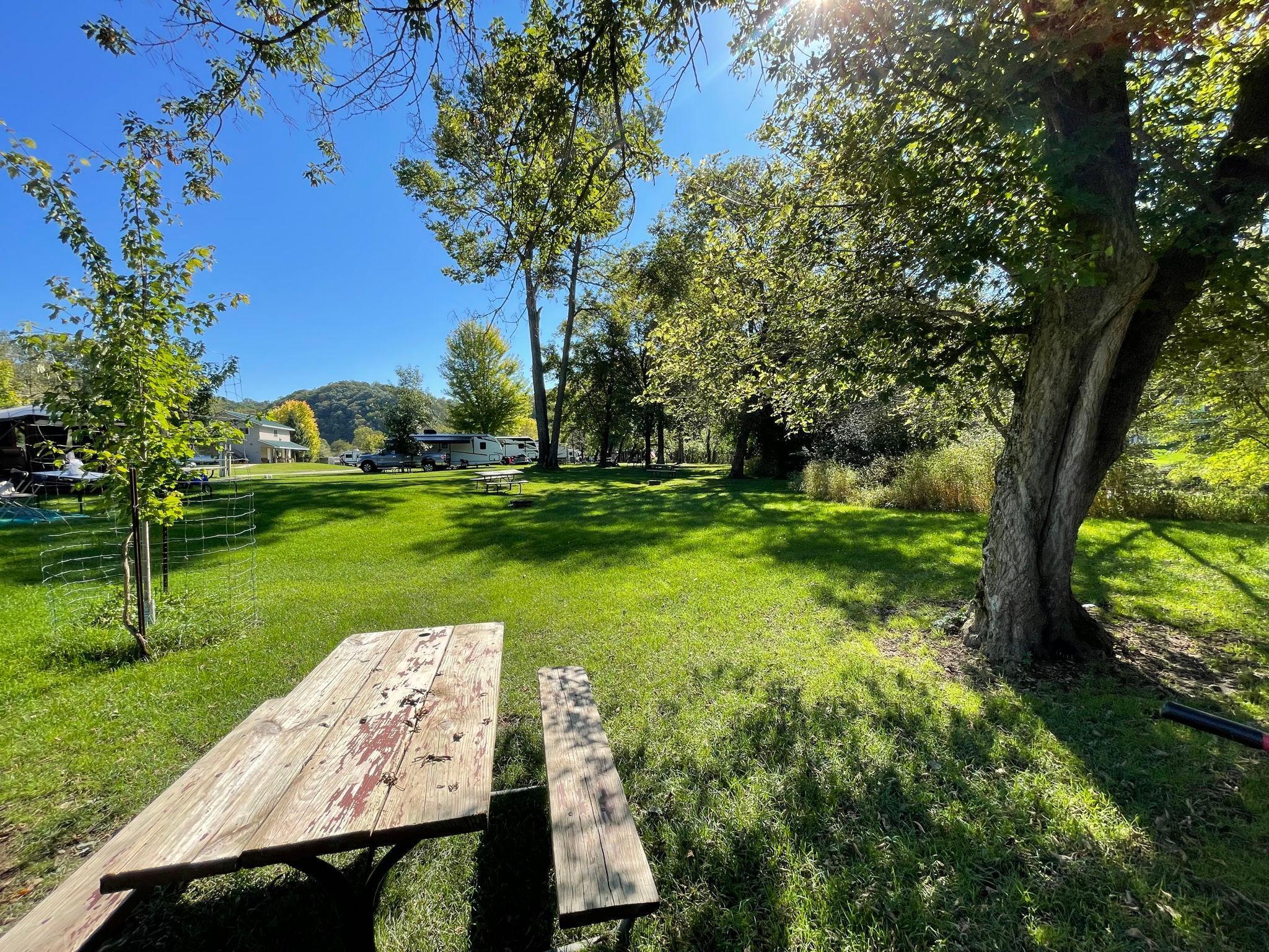 25276 Highway 250 Property Photo 8