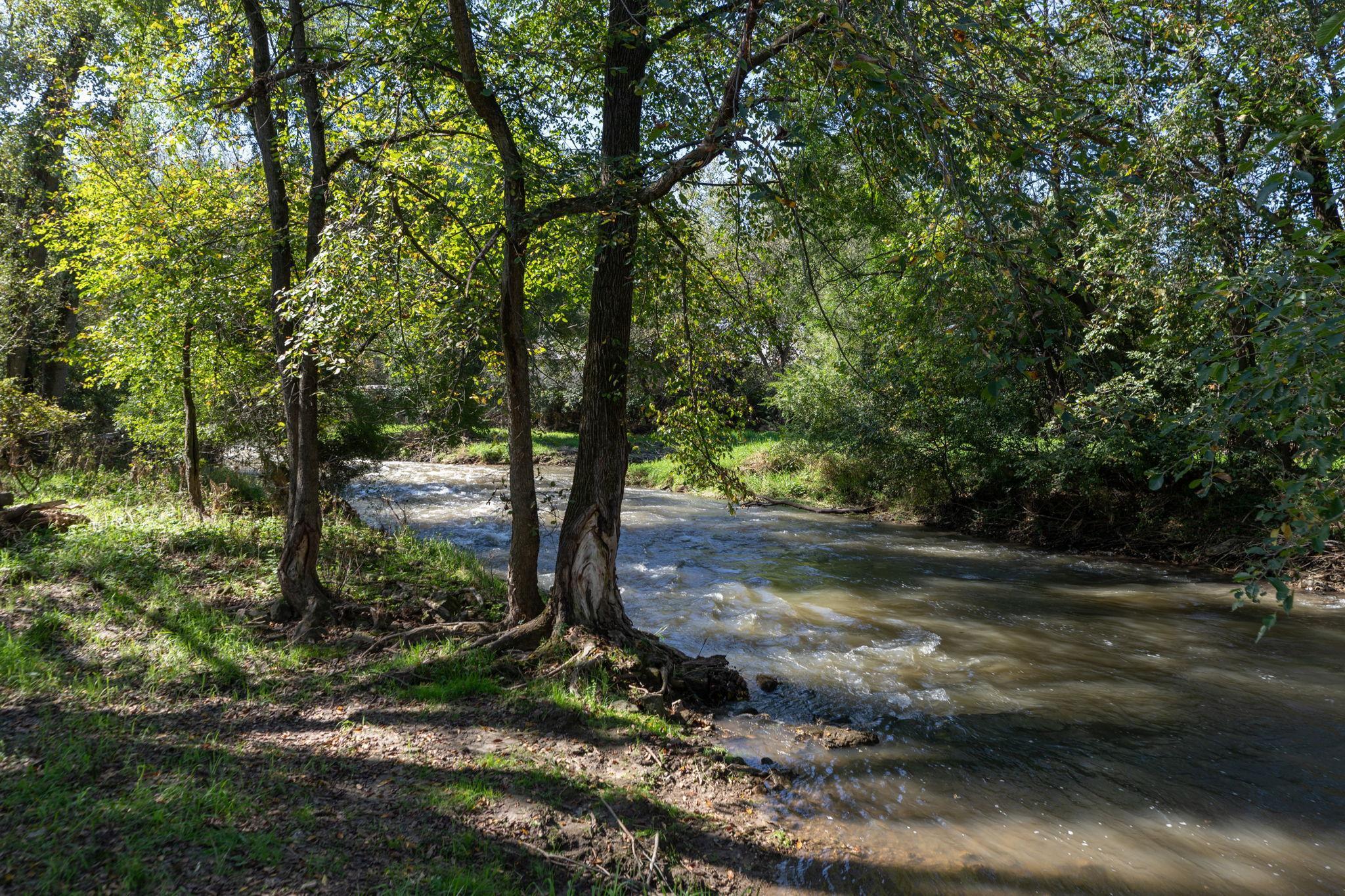25276 Highway 250 Property Photo 18