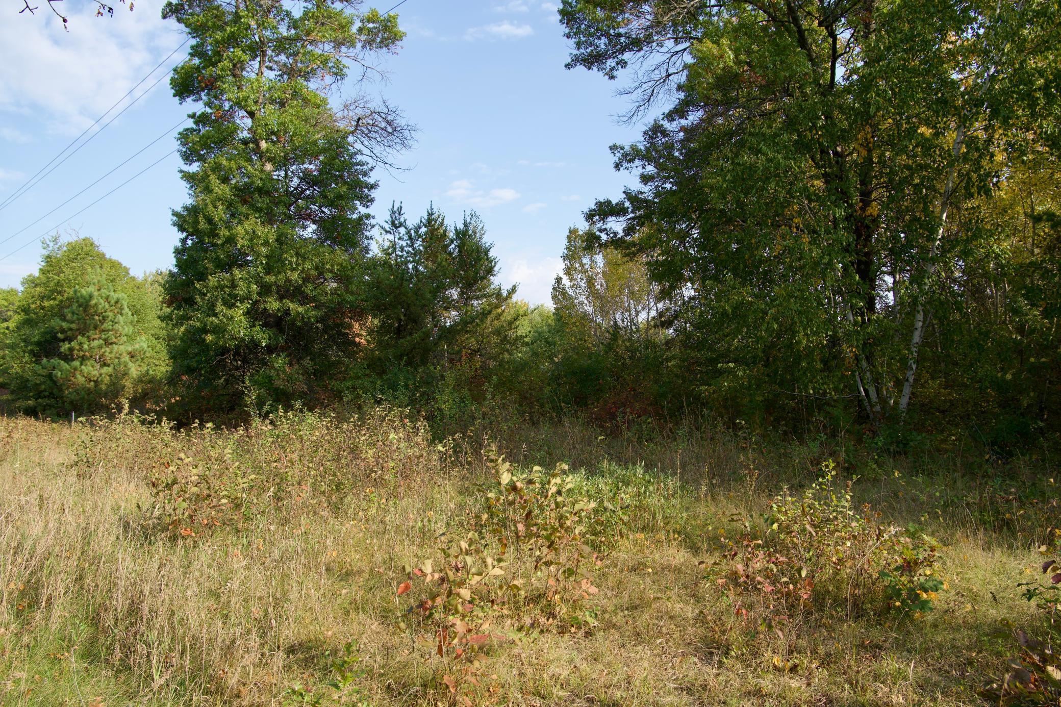 21.8 Acres Hwy 371 Property Photo 13