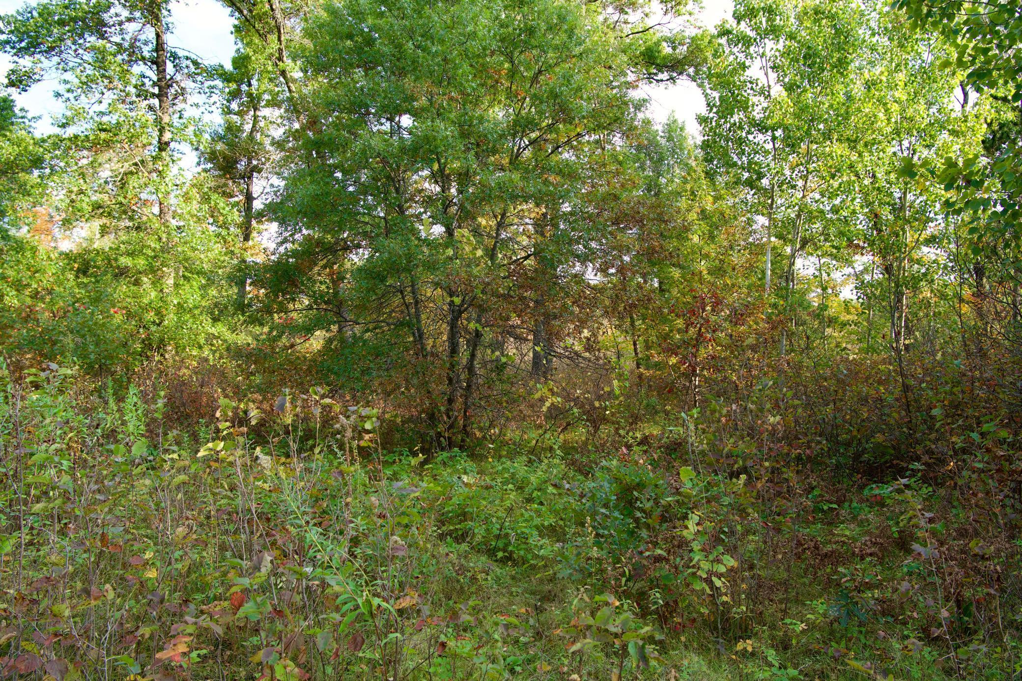 Tract C Hwy 371 Property Photo 5