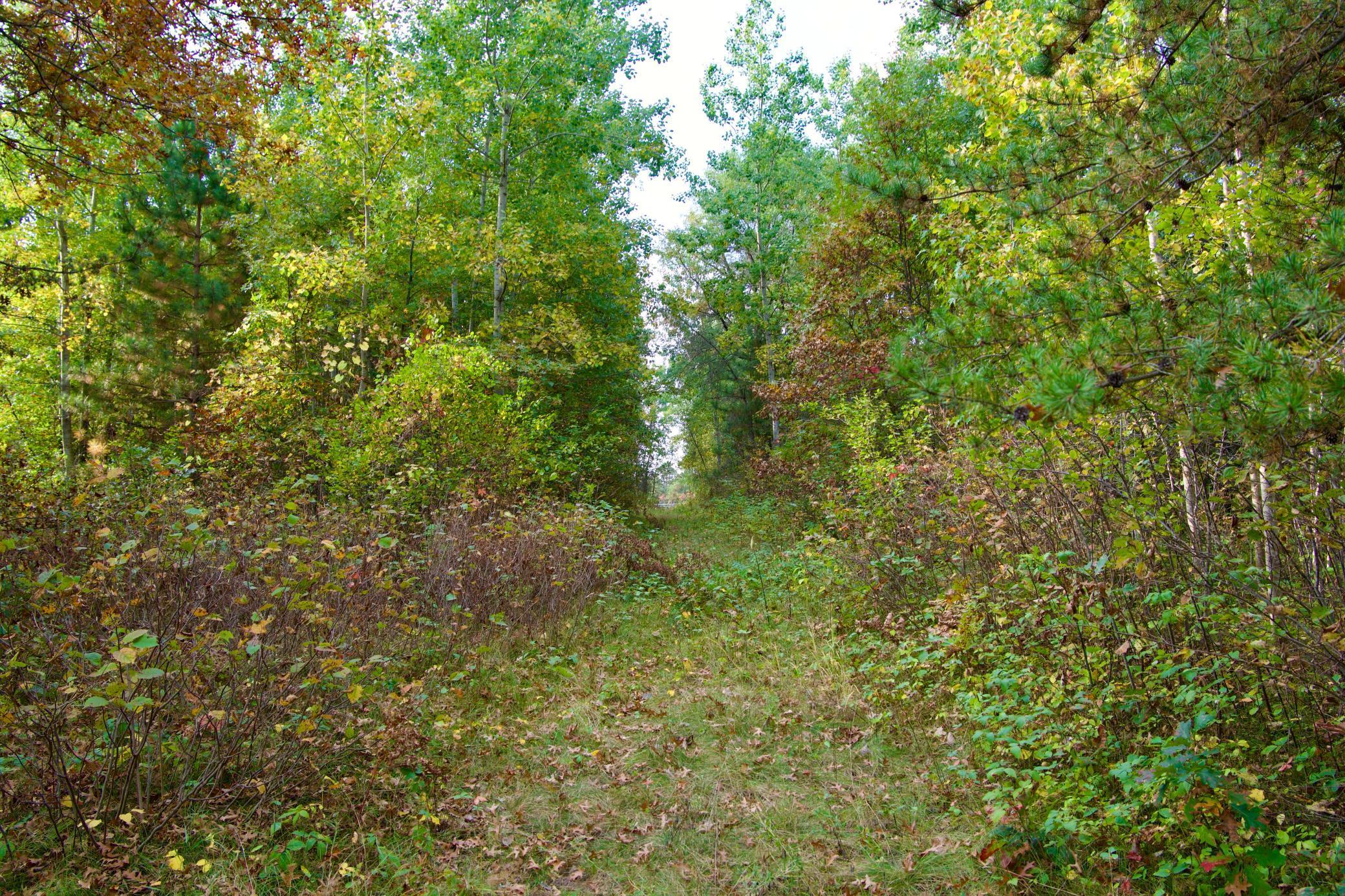 Tract C Hwy 371 Property Photo 6