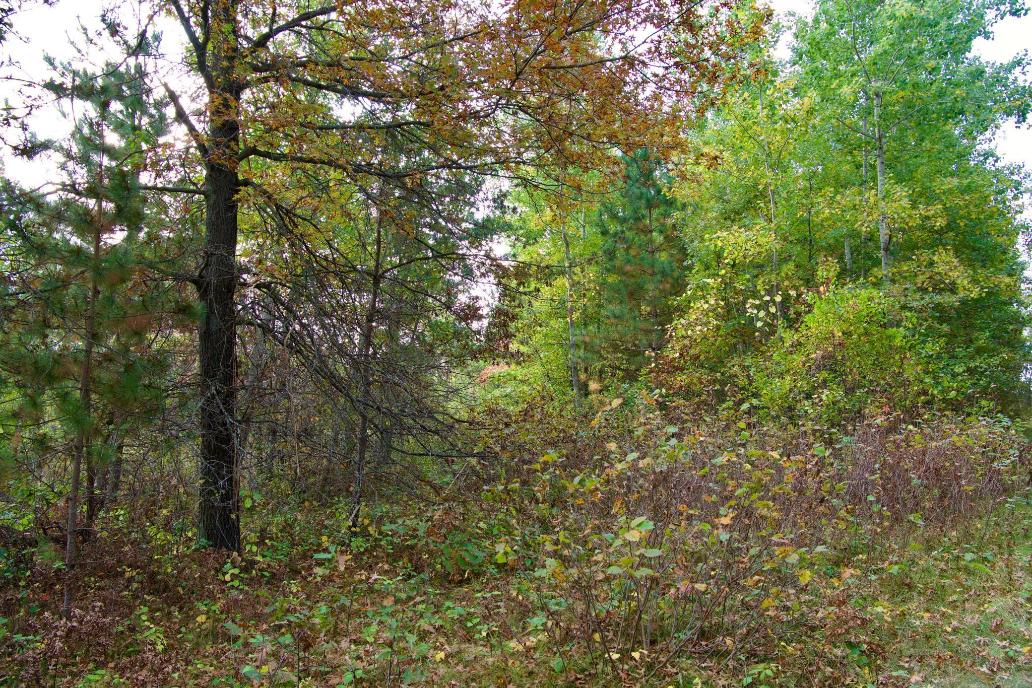 Tract C Hwy 371 Property Photo 7