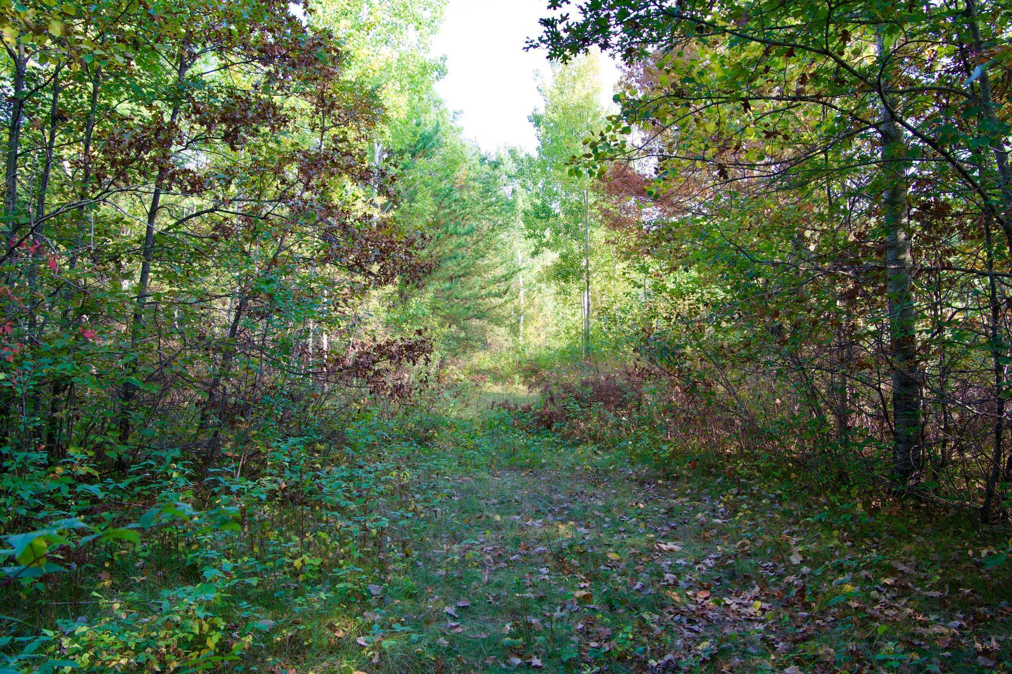 Tract C Hwy 371 Property Photo 12