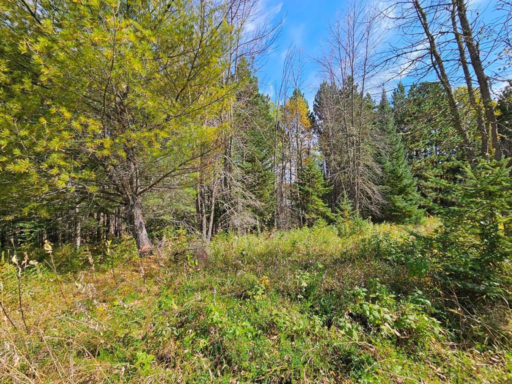 Lt 3 Blk 1 County Rd 238 Property Photo 8