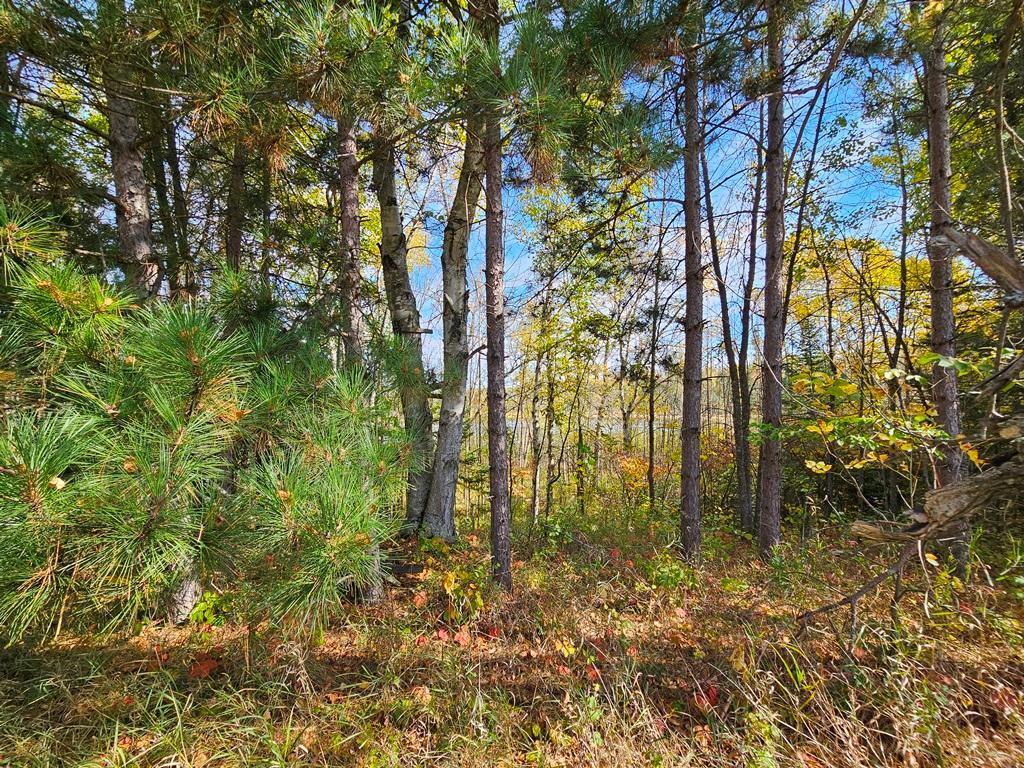 Lt 3 Blk 1 County Rd 238 Property Photo 9