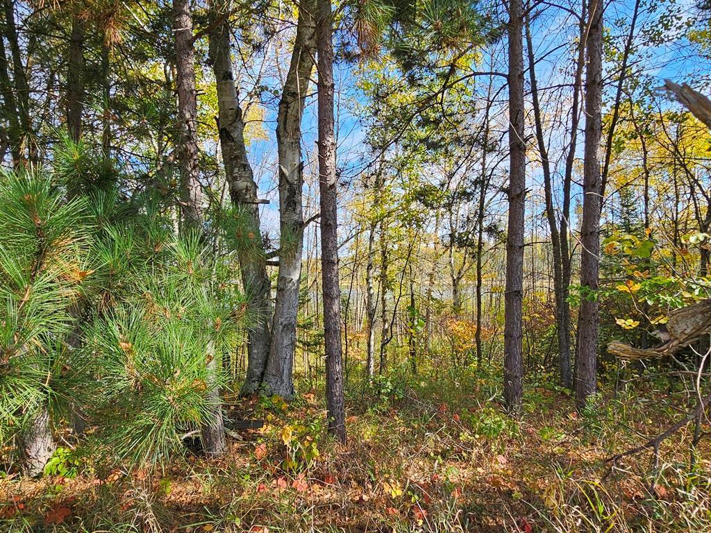 Lt 3 Blk 1 County Rd 238 Property Photo 10