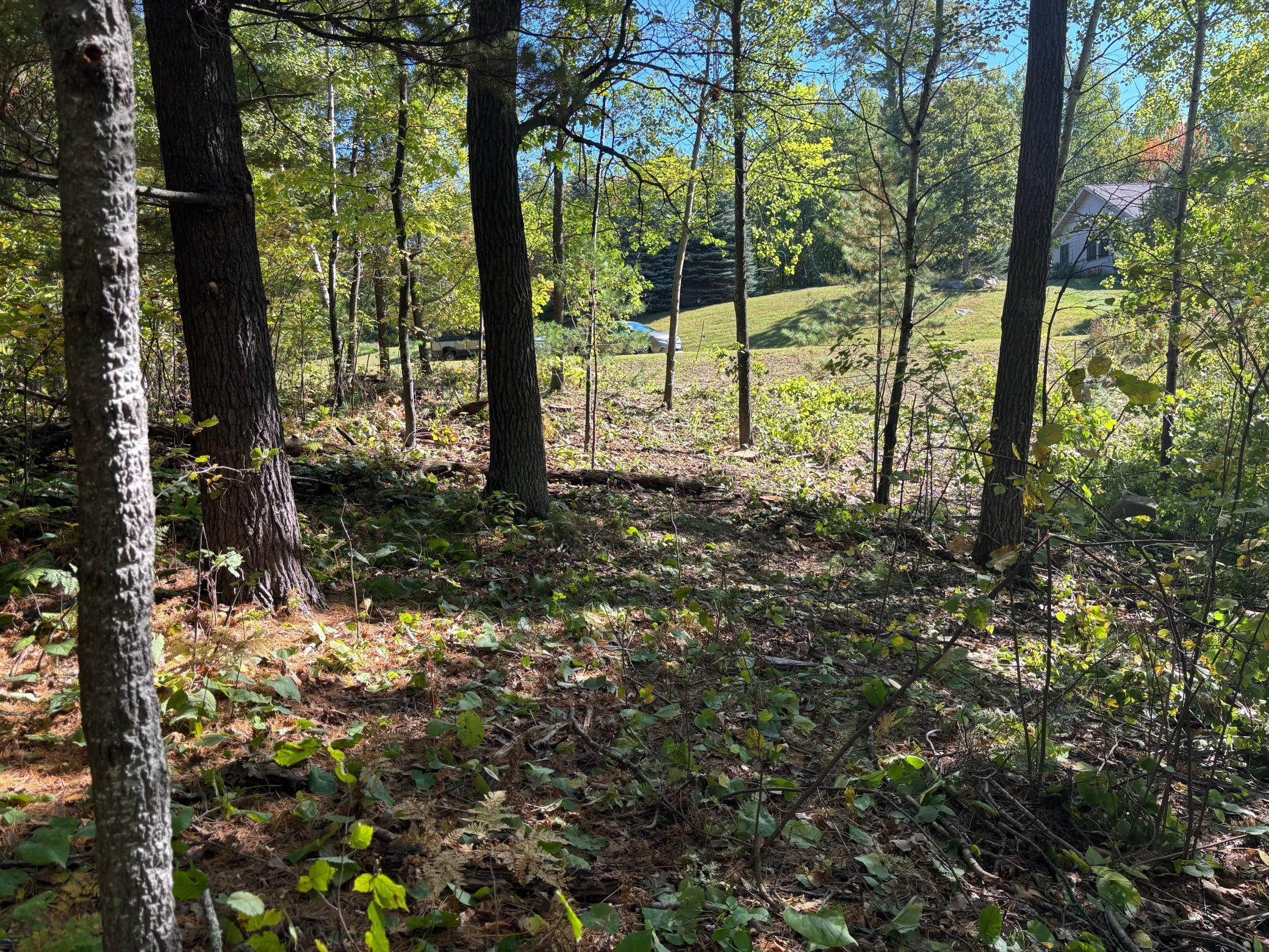 704 5th Street Property Photo 3