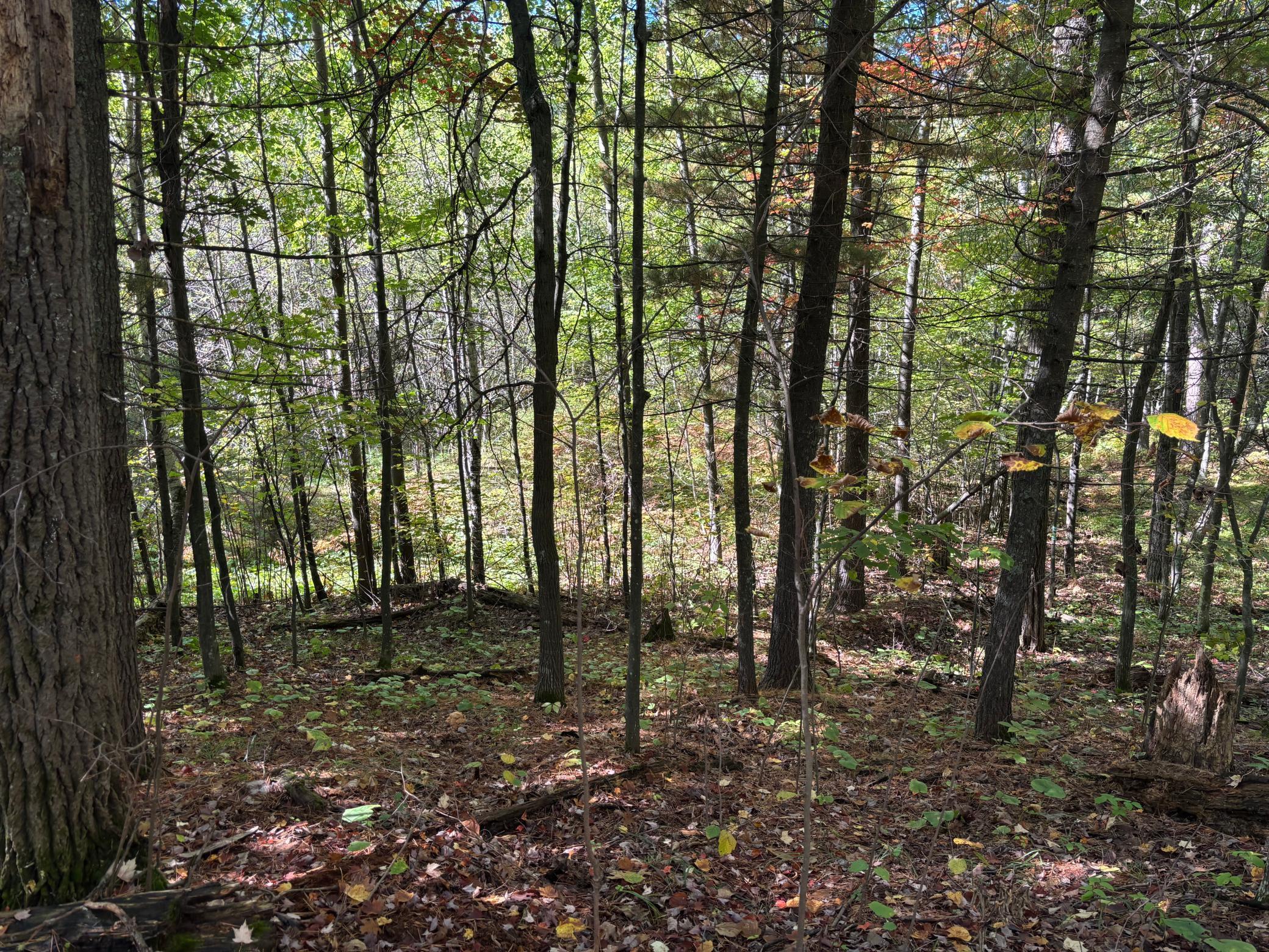 704 5th Street Property Photo 5