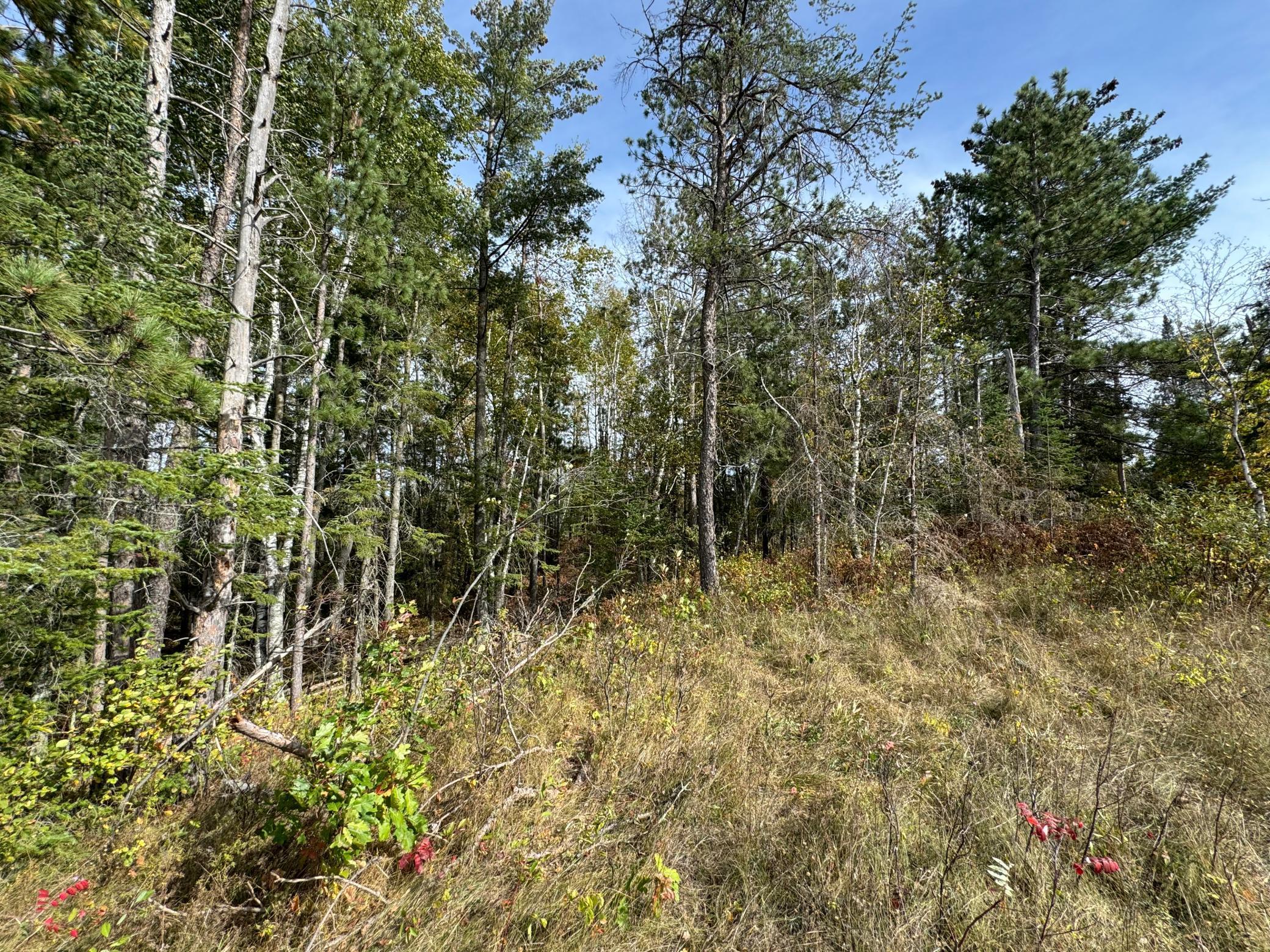 Tbd 243rd Avenue Property Photo 3