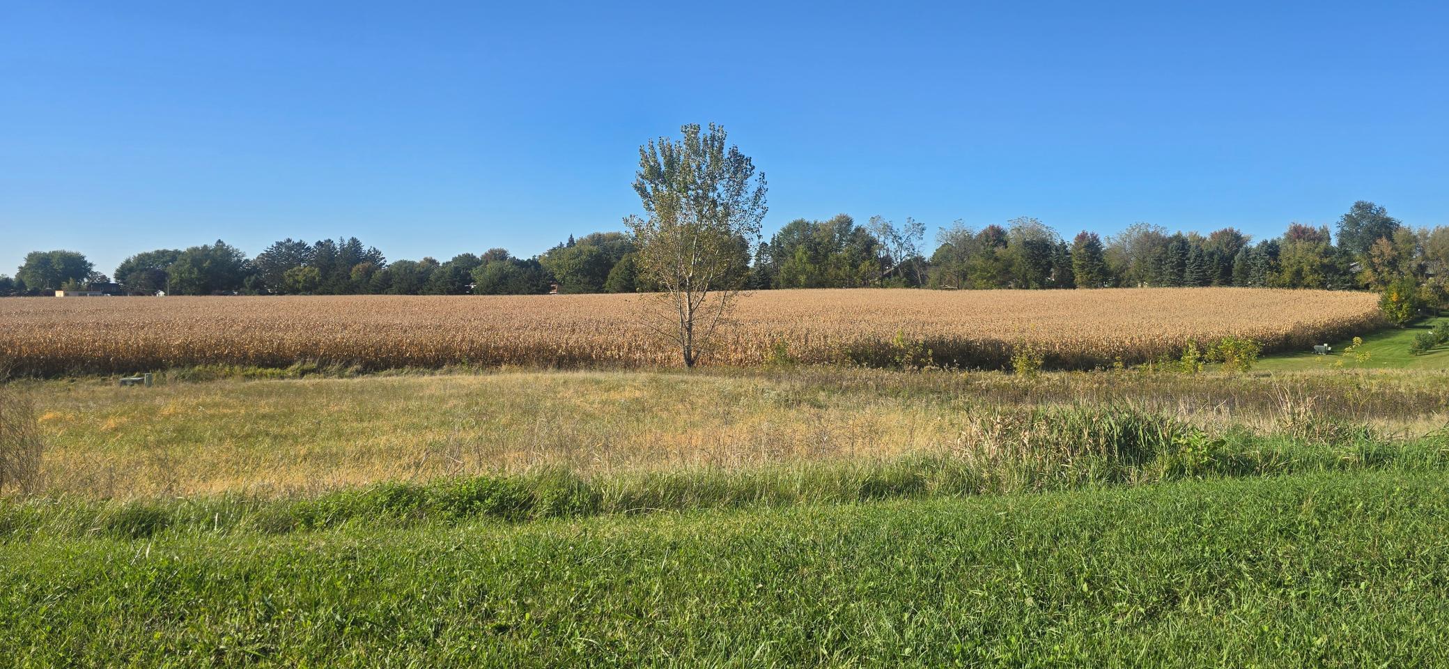 Tbd ( Lot 4, Blk 1) 3rd Avenue Se Property Photo 2
