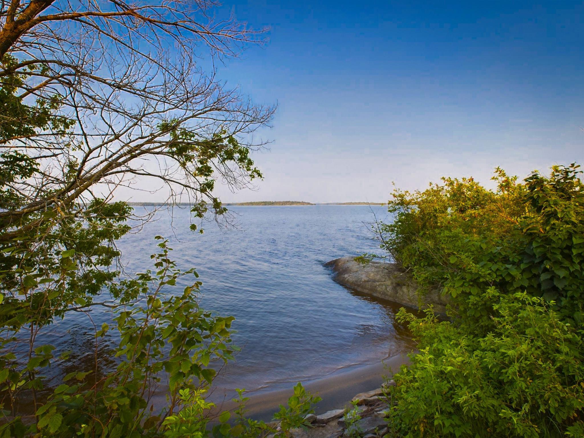 1 Birch Island Property Photo 27