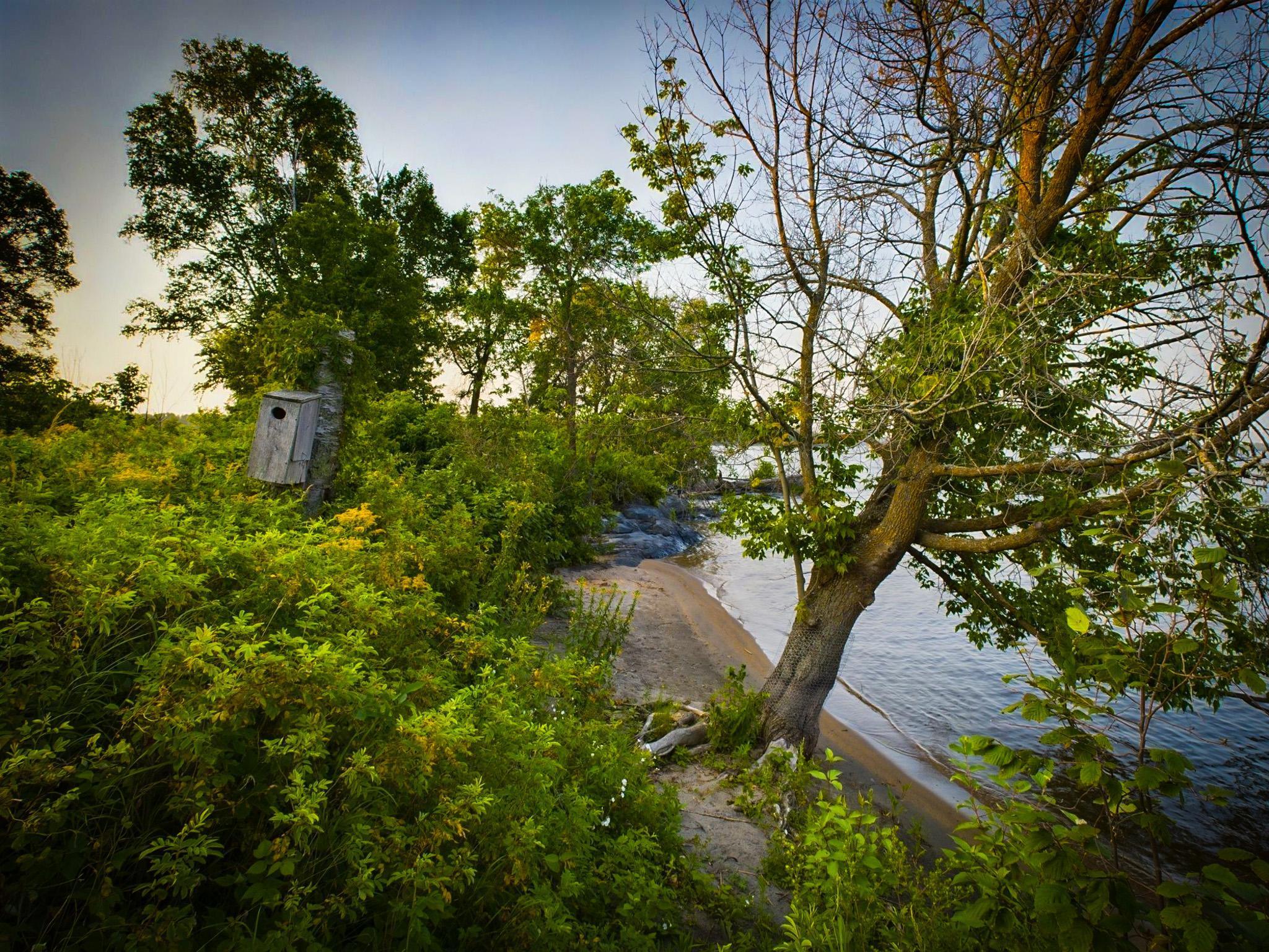 1 Birch Island Property Photo 31