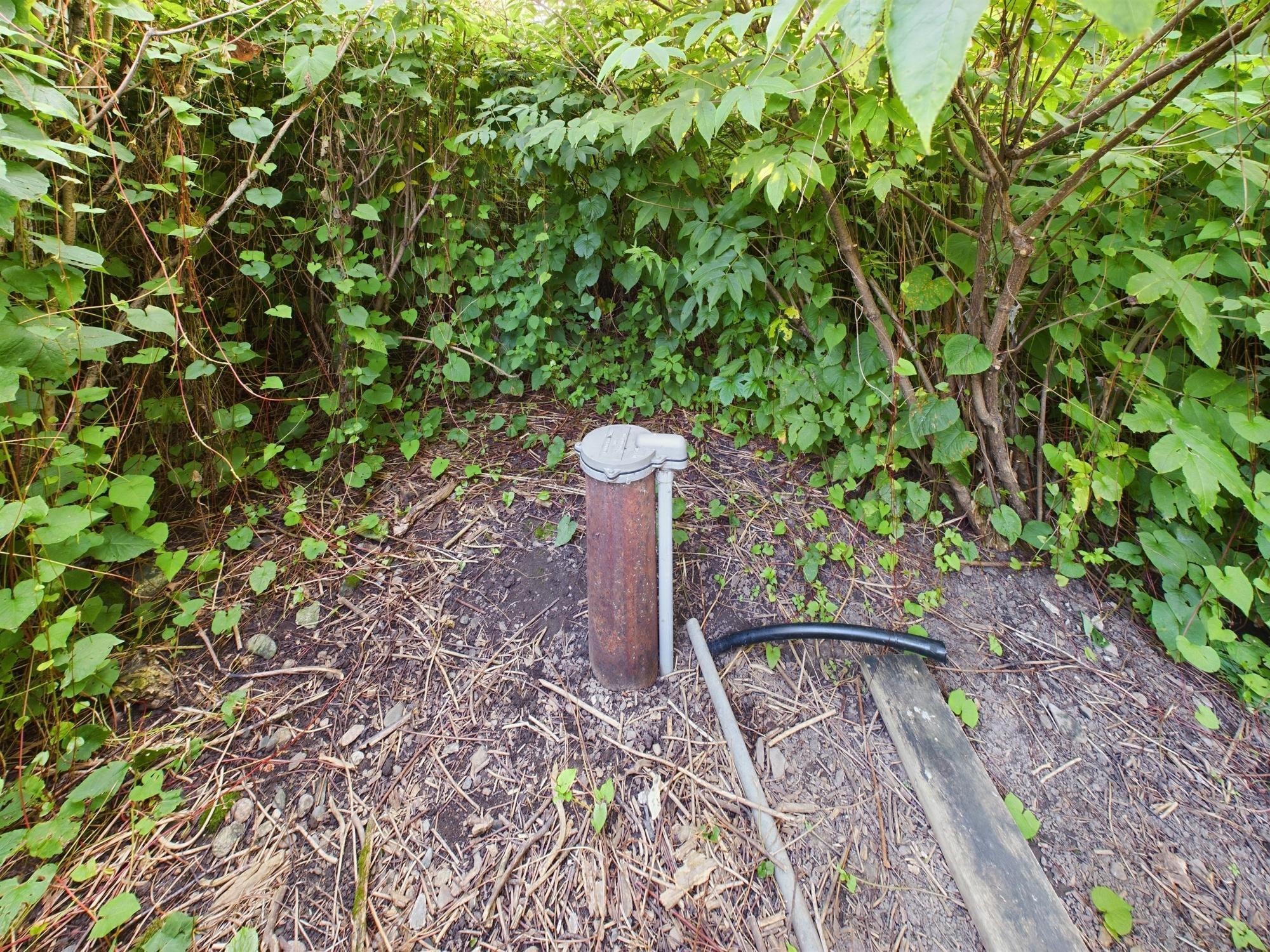 1 Birch Island Property Photo 42