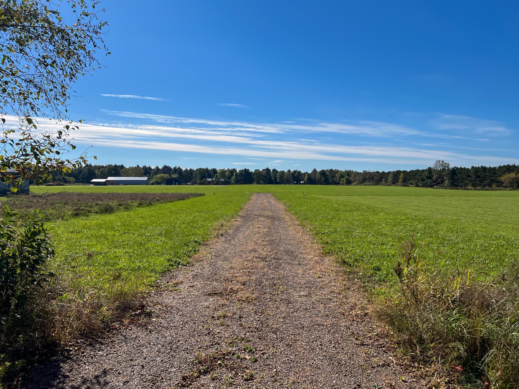Lot 1 9th Avenue Property Photo 6