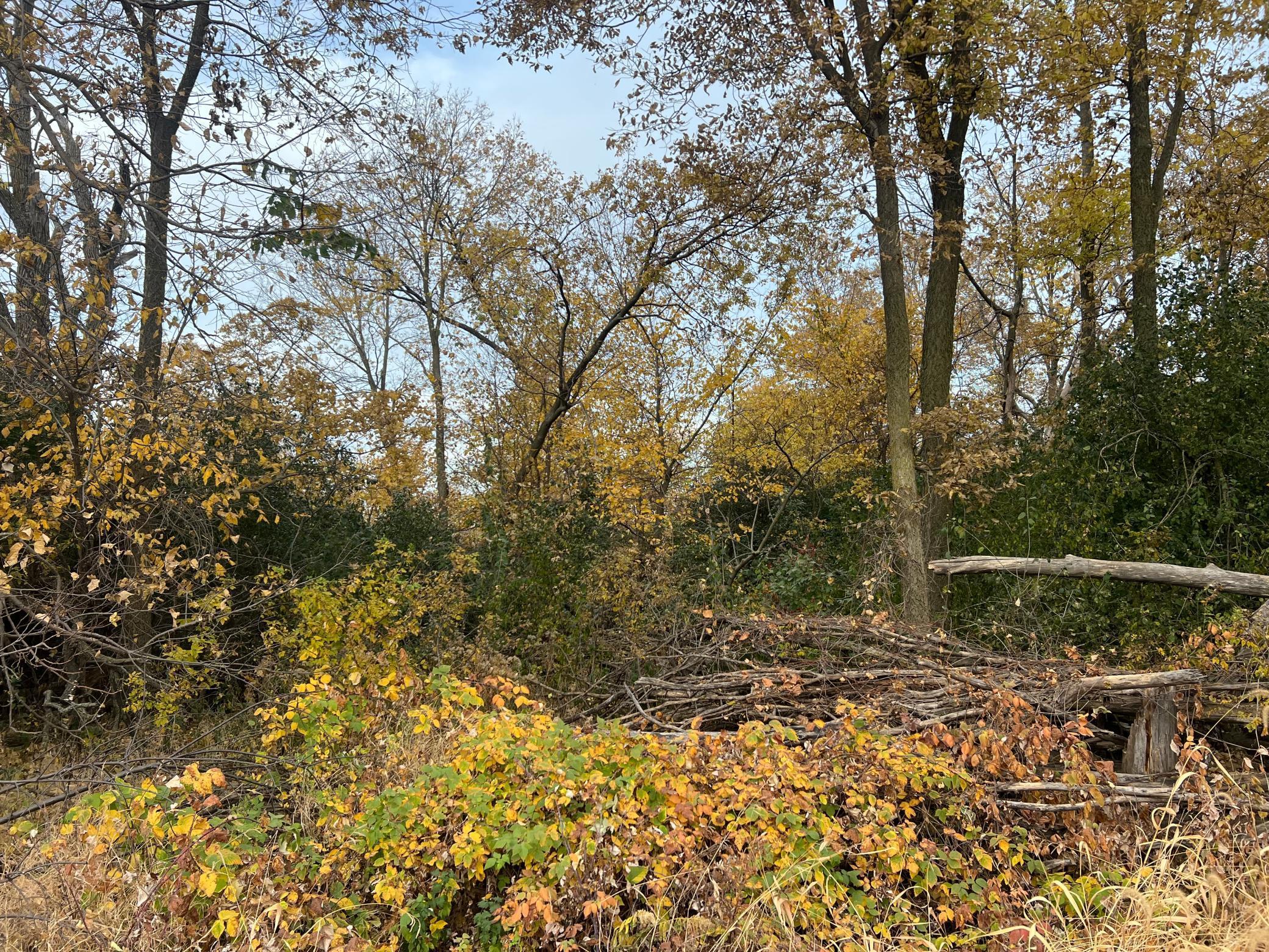 Tbd- County 24 Boulevard Property Photo 12