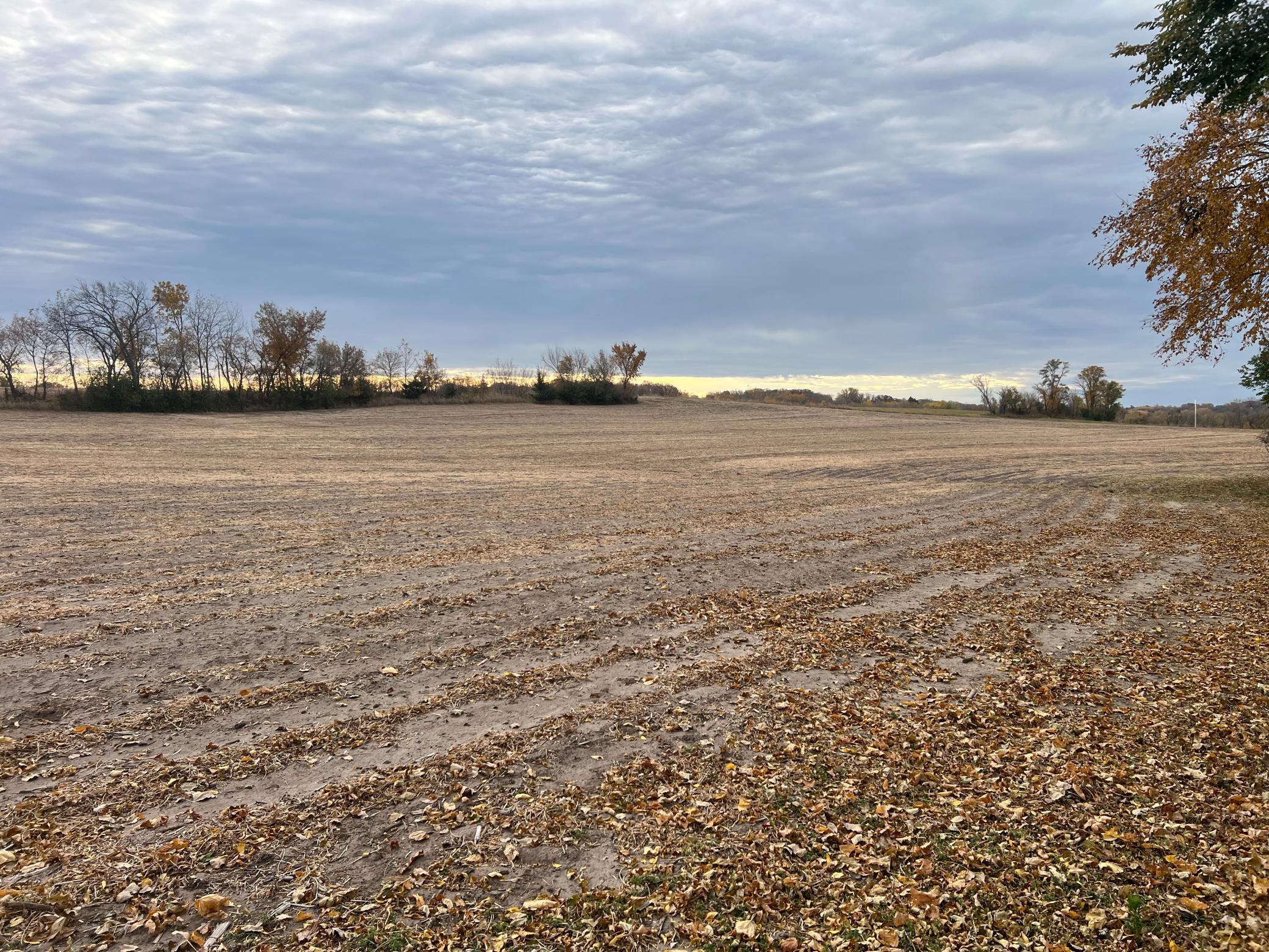 Tbd- County 24 Boulevard Property Photo 13