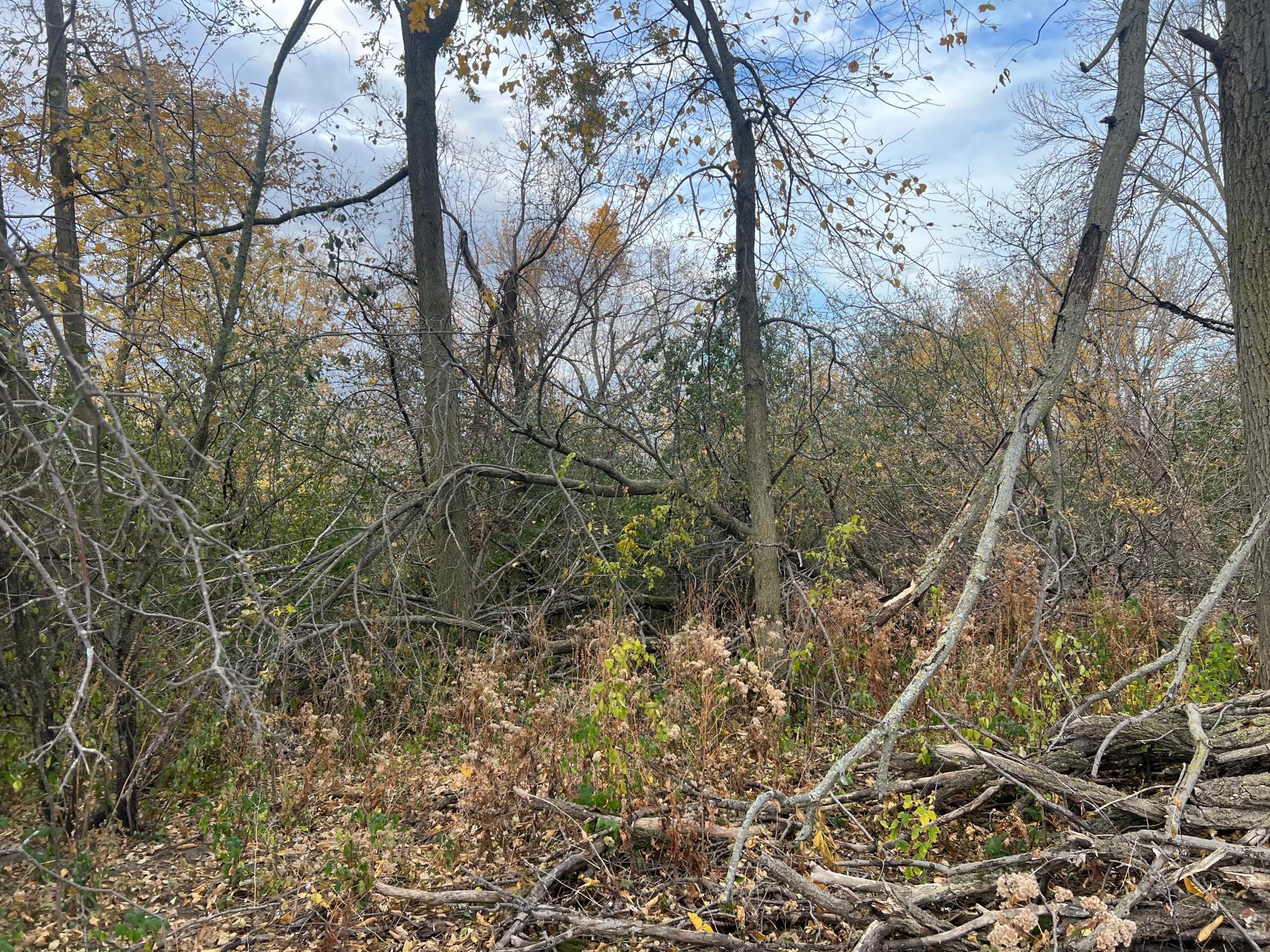 Tbd- County 24 Boulevard Property Photo 14