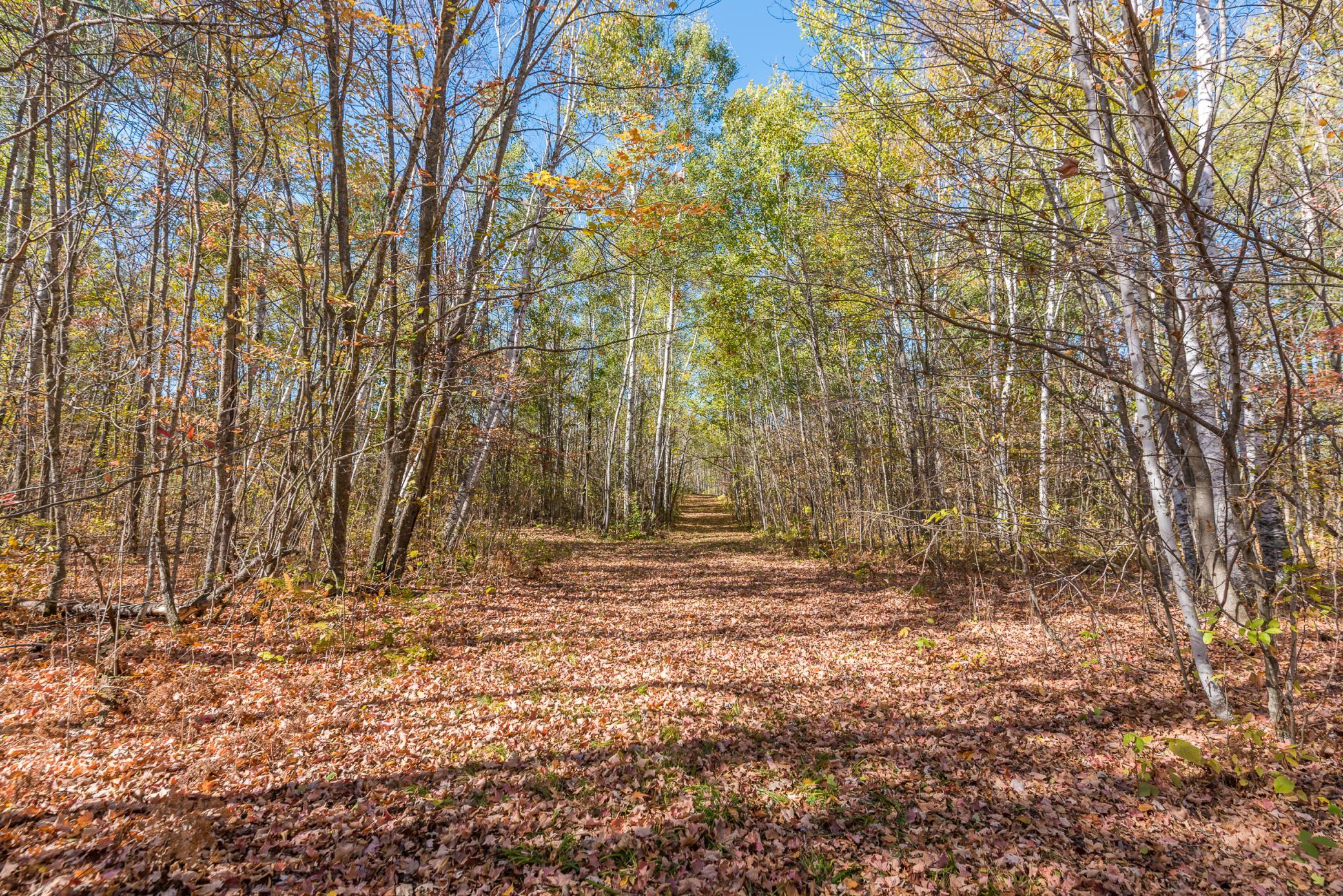 30205 190th Lane Property Photo 32