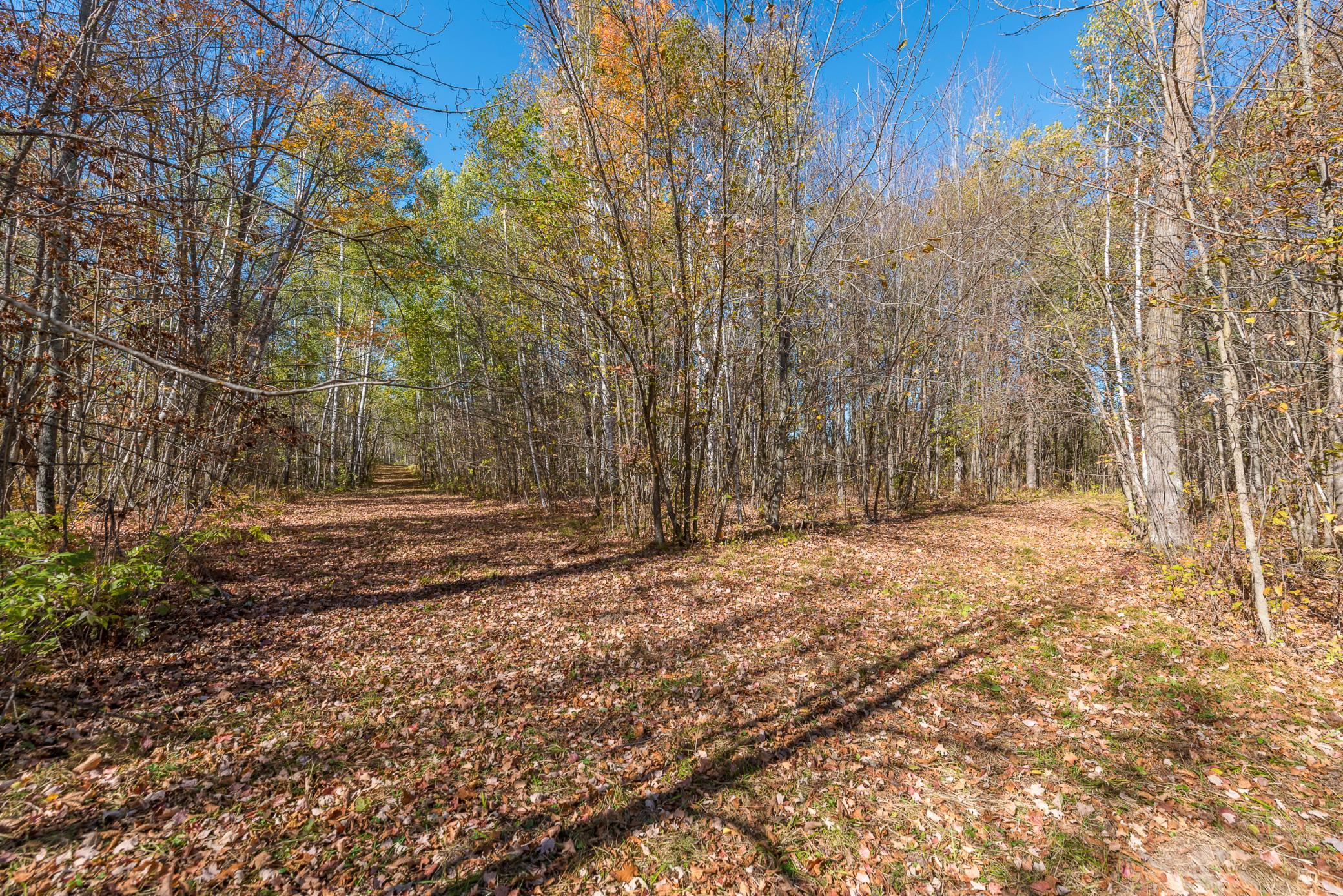 30205 190th Lane Property Photo 60