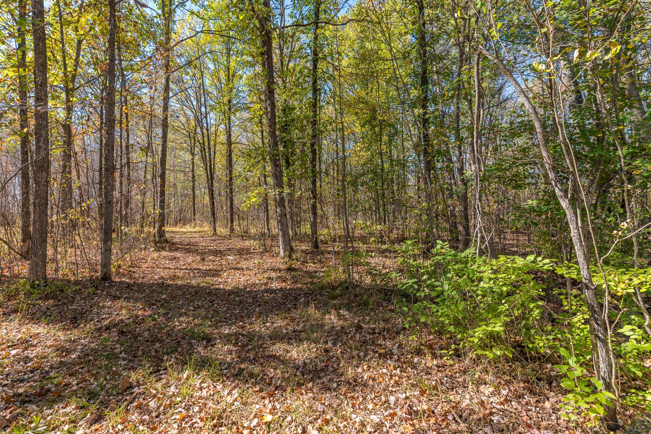 30205 190th Lane Property Photo 67