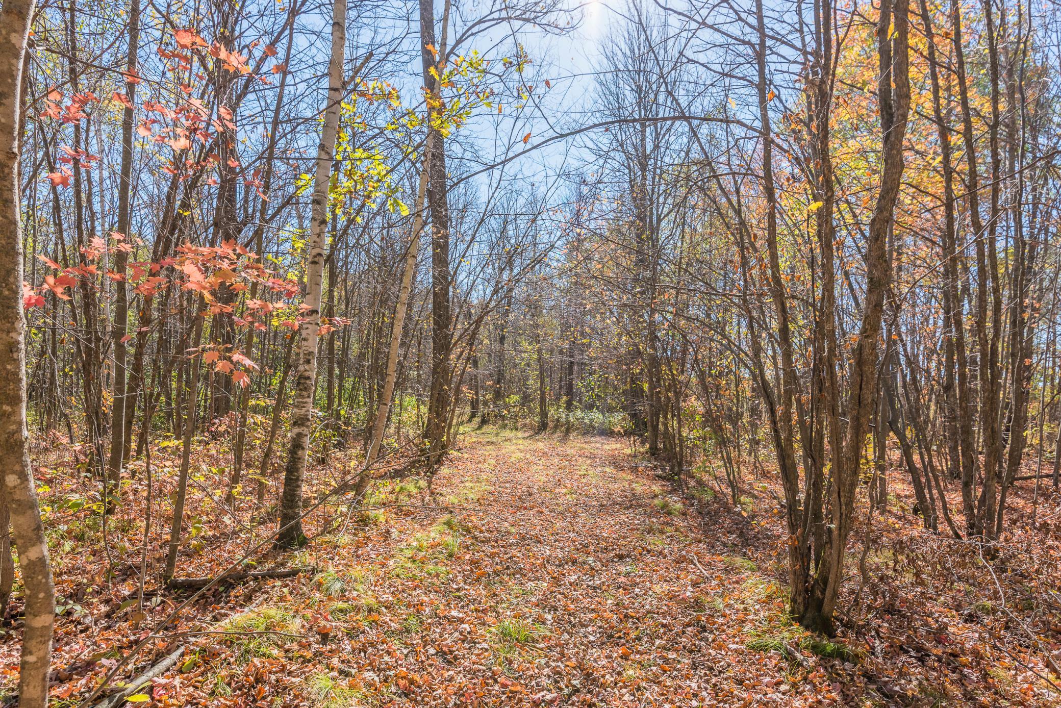 30205 190th Lane Property Photo 69