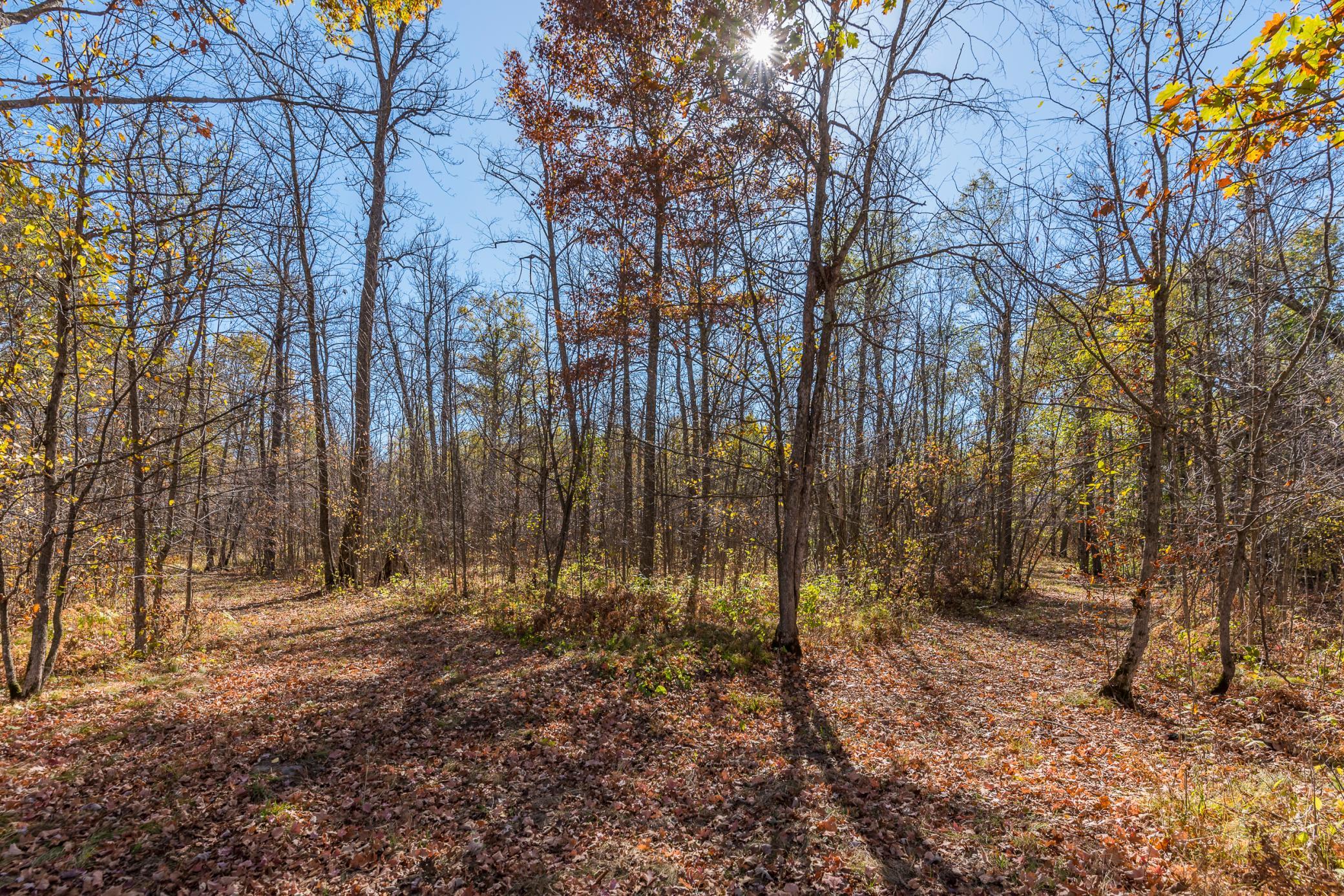 30205 190th Lane Property Photo 96