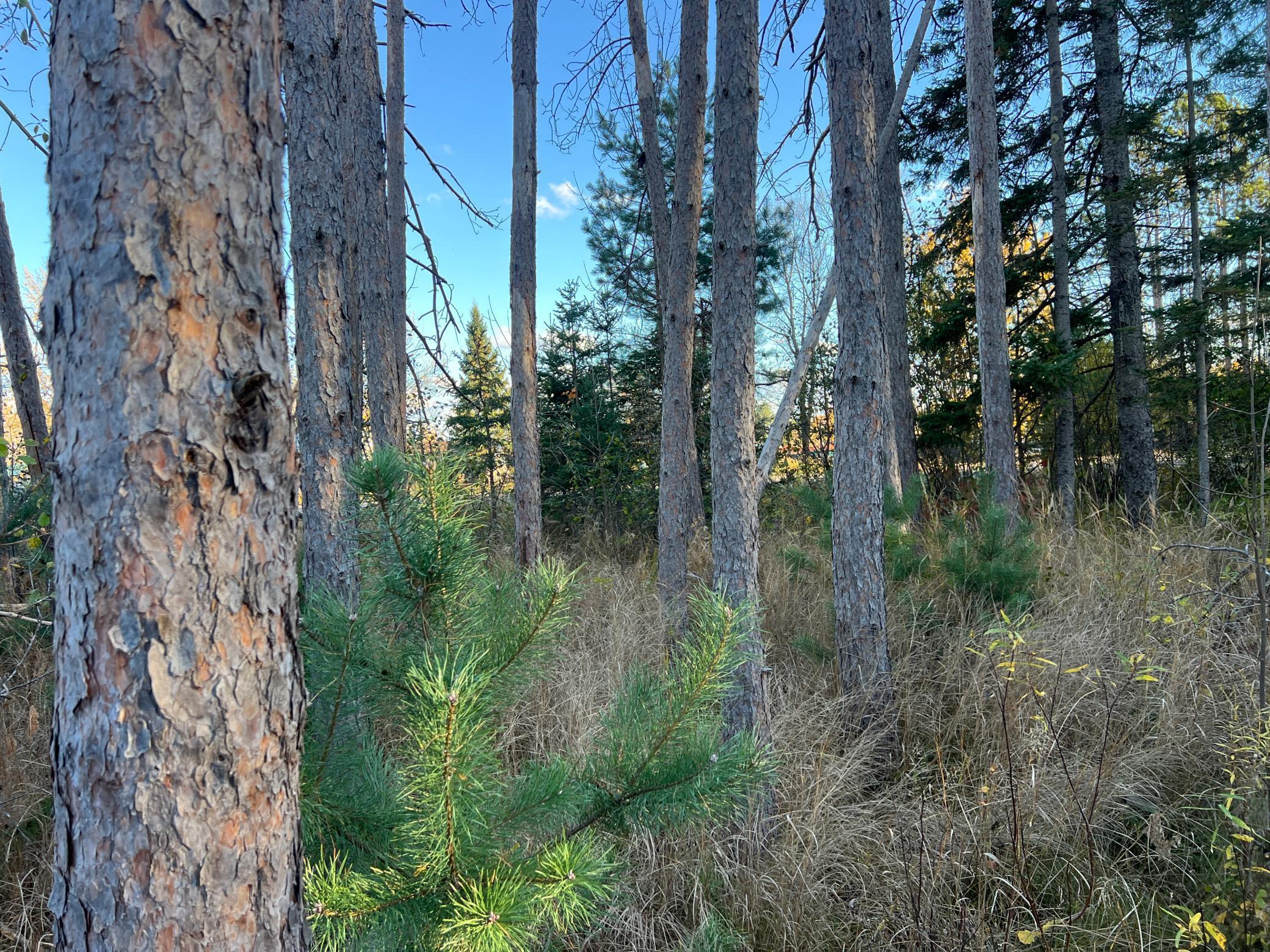 000 State Hwy 23 S. Property Photo 1