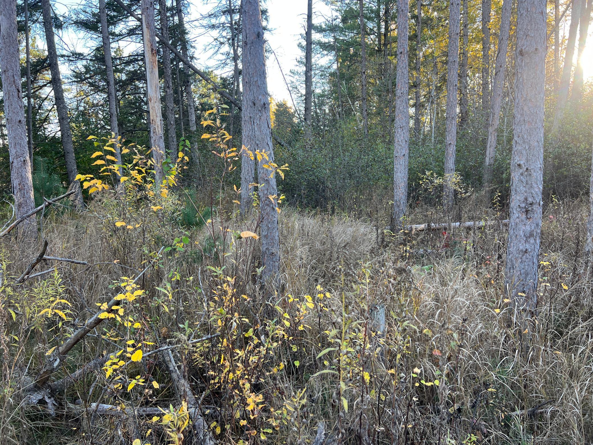 000 State Hwy 23 S. Property Photo 2