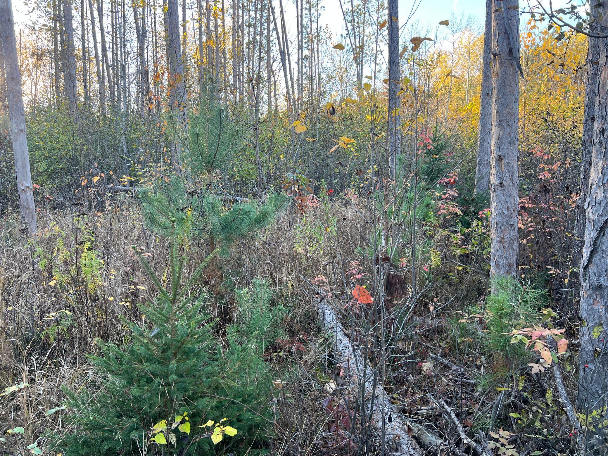 000 State Hwy 23 S. Property Photo 3