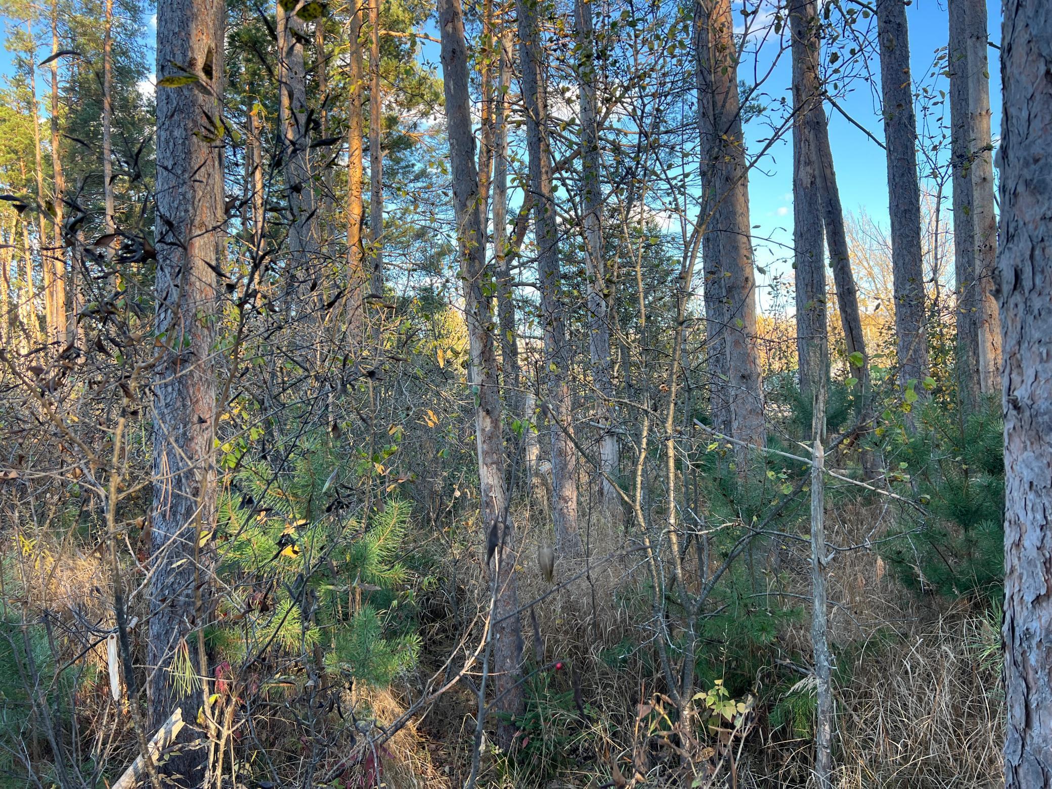 000 State Hwy 23 S. Property Photo 4