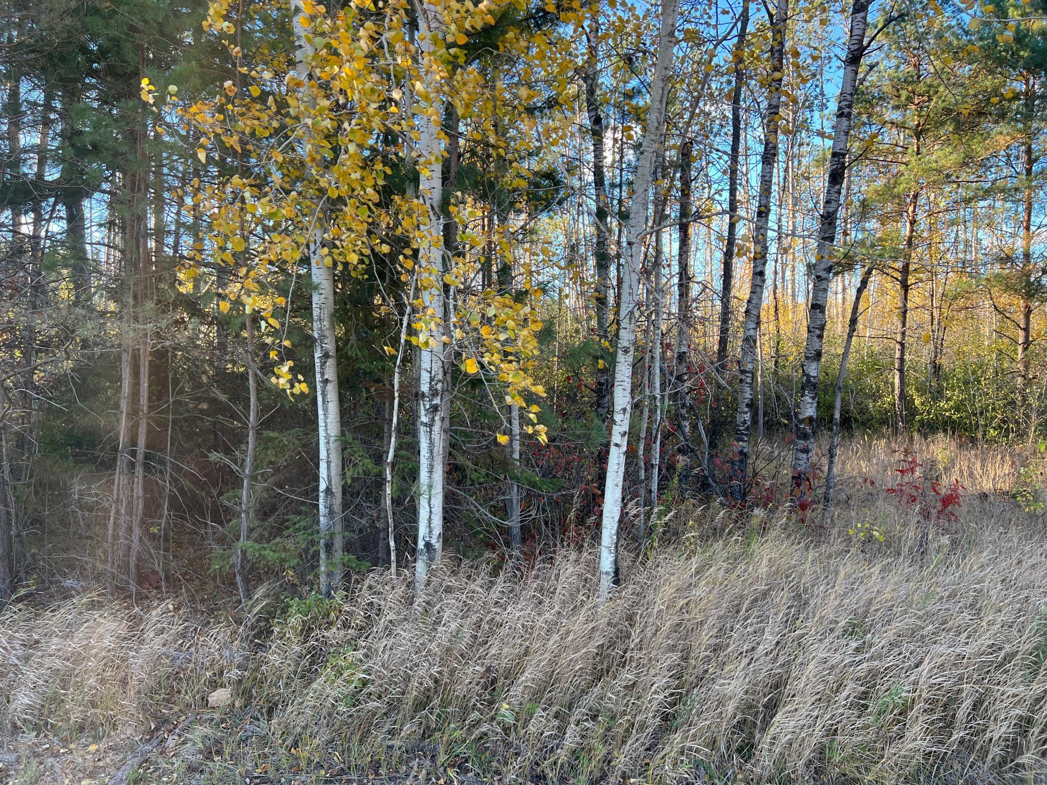 000 State Hwy 23 S. Property Photo 10
