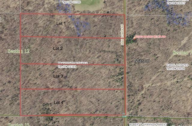 Lot 1 Mason Delta Rd Property Photo 1