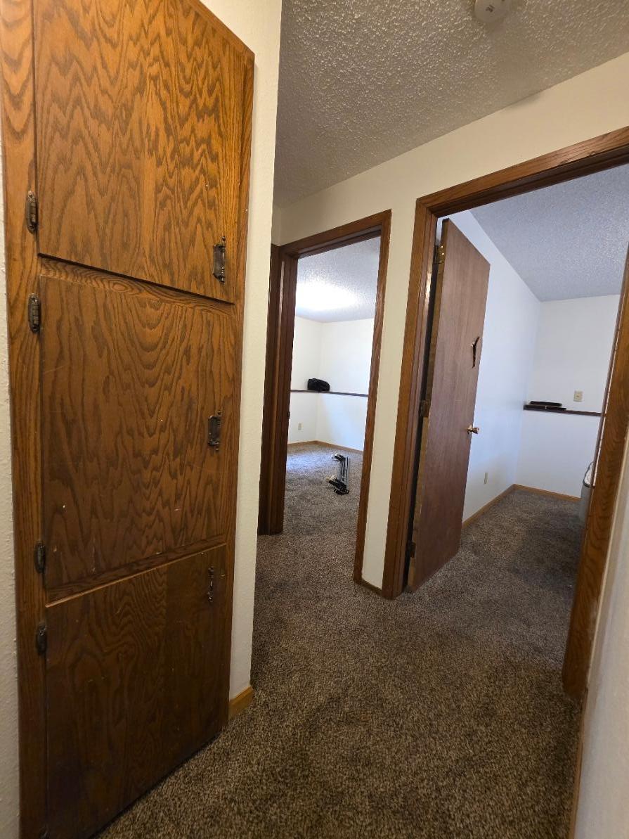 3107 Covent Garden Street Property Photo 35