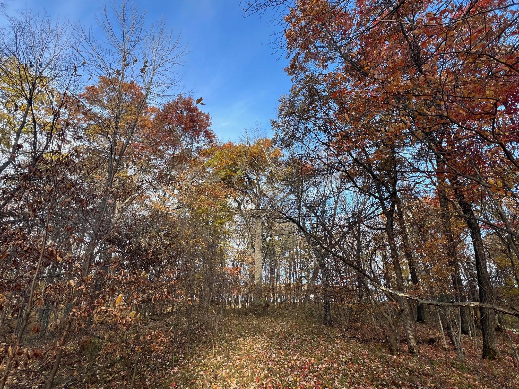 Tbd Marl Road Property Photo 6
