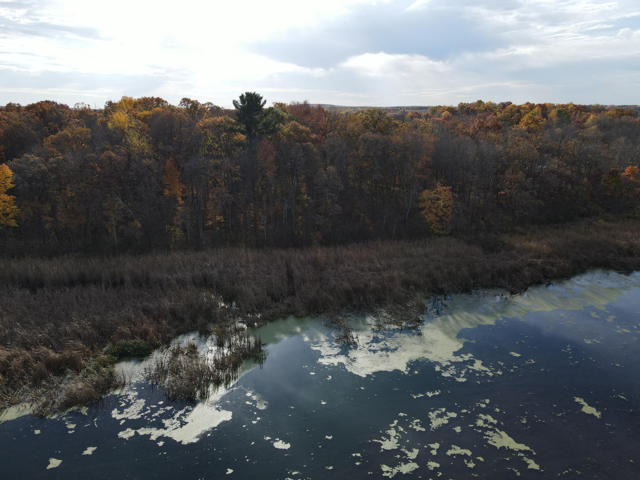 Tbd Marl Road Property Photo 19