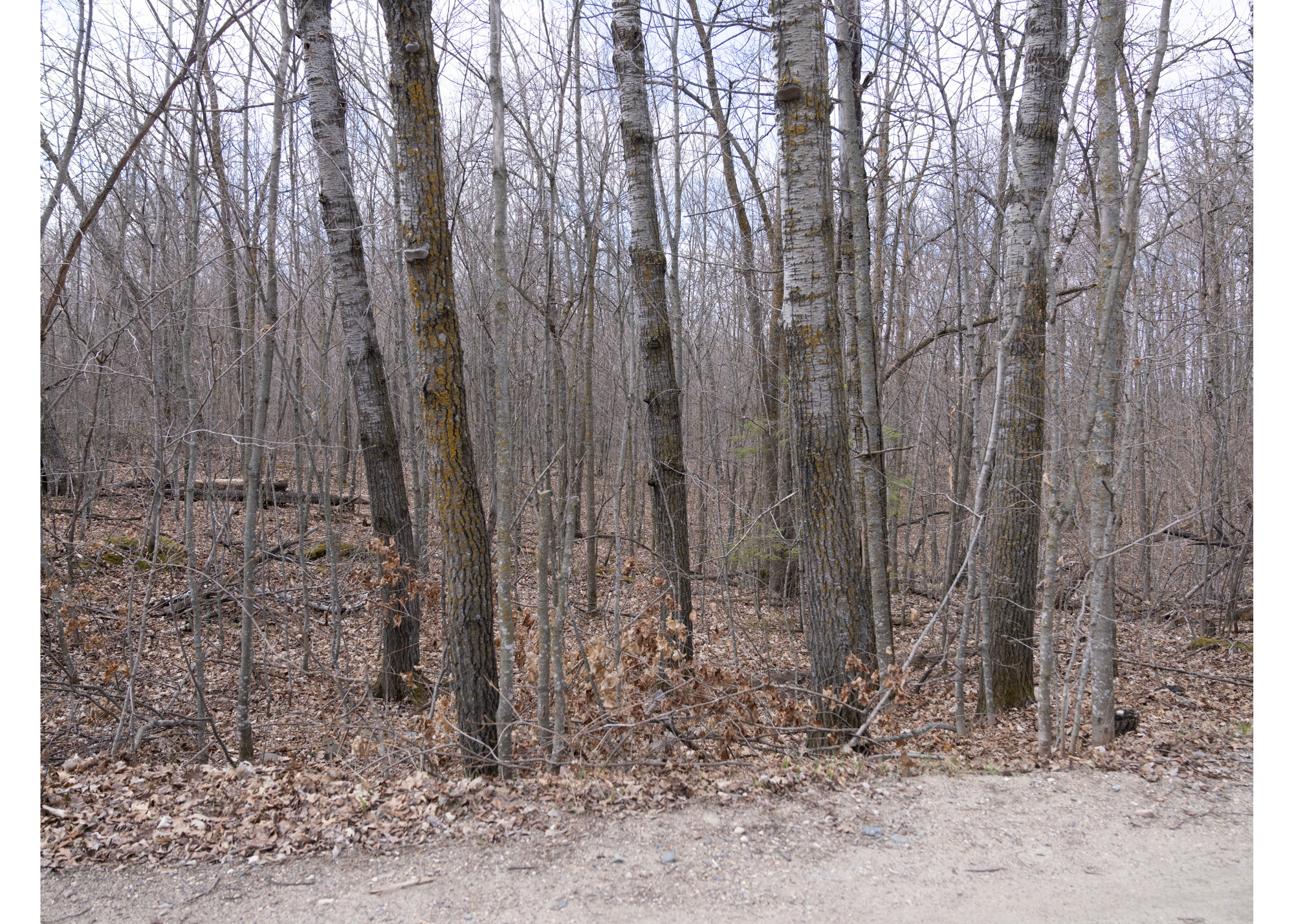 Tbd Tbd Property Photo 18