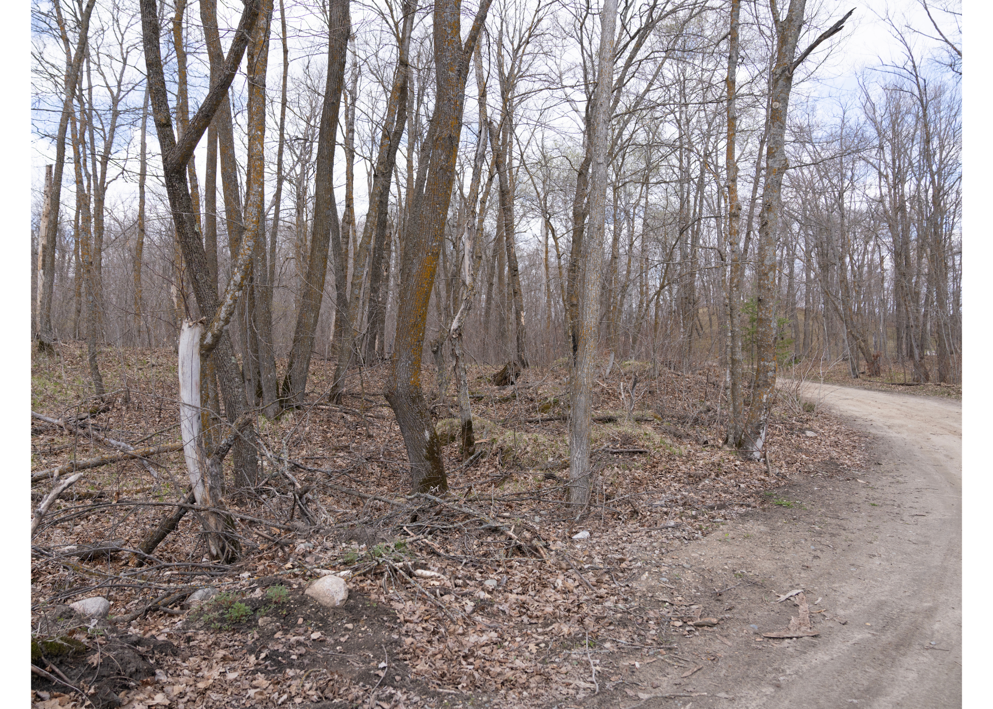 Tbd Tbd Property Photo 19